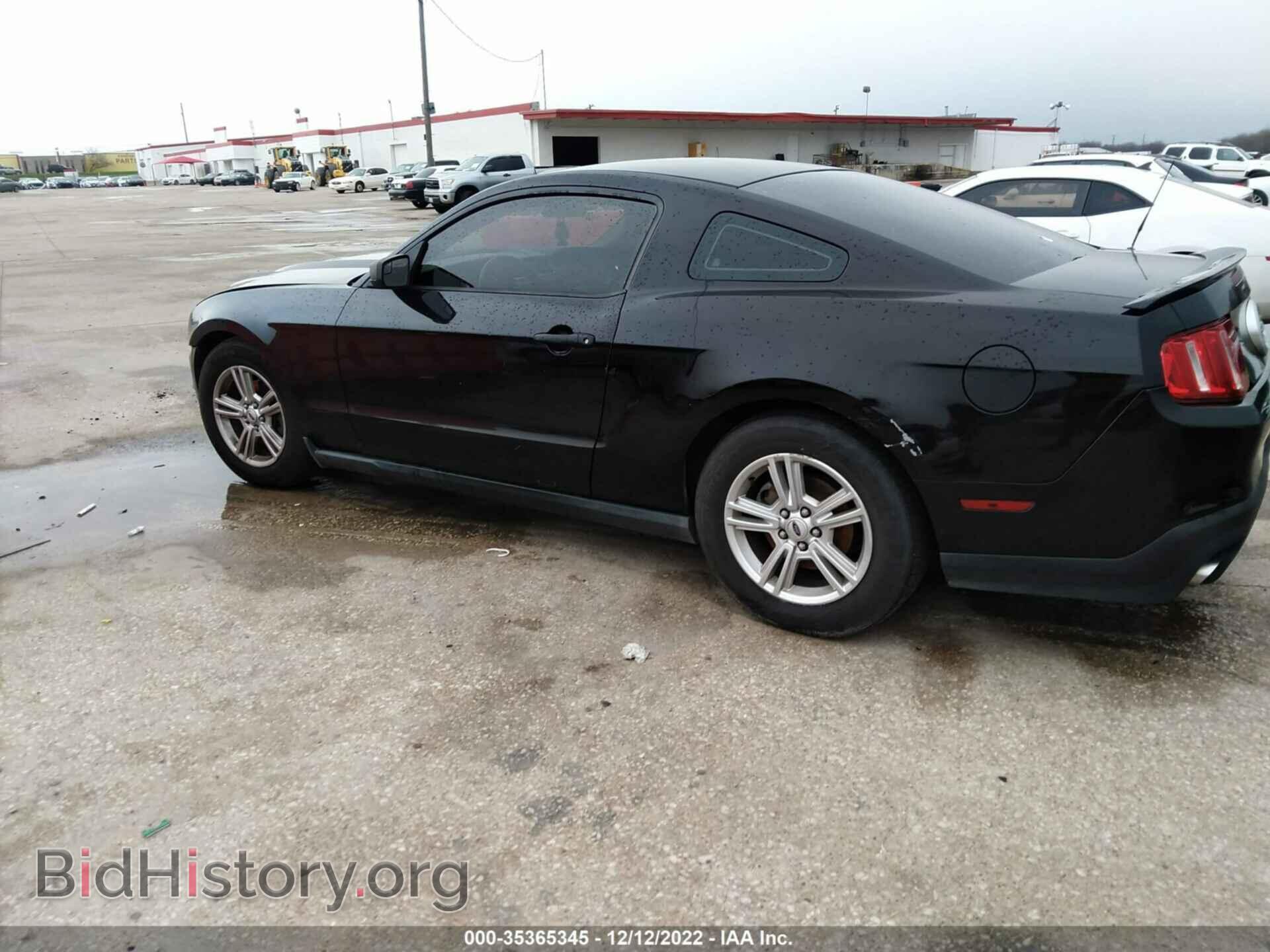 2012 FORD MUSTANG - VIN: 1ZVBP8AM8C5207230 - Фото 3
