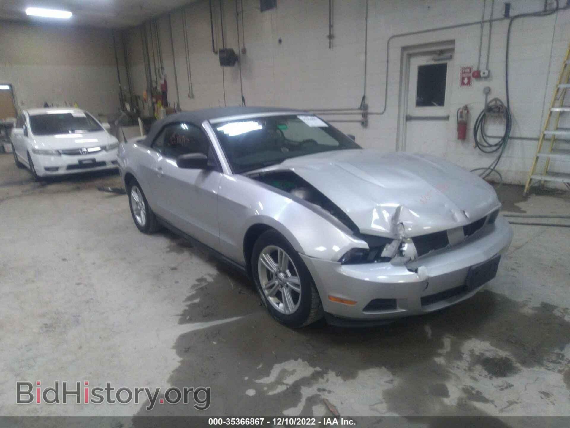 Photo 1ZVBP8EN8A5111937 - FORD MUSTANG 2010