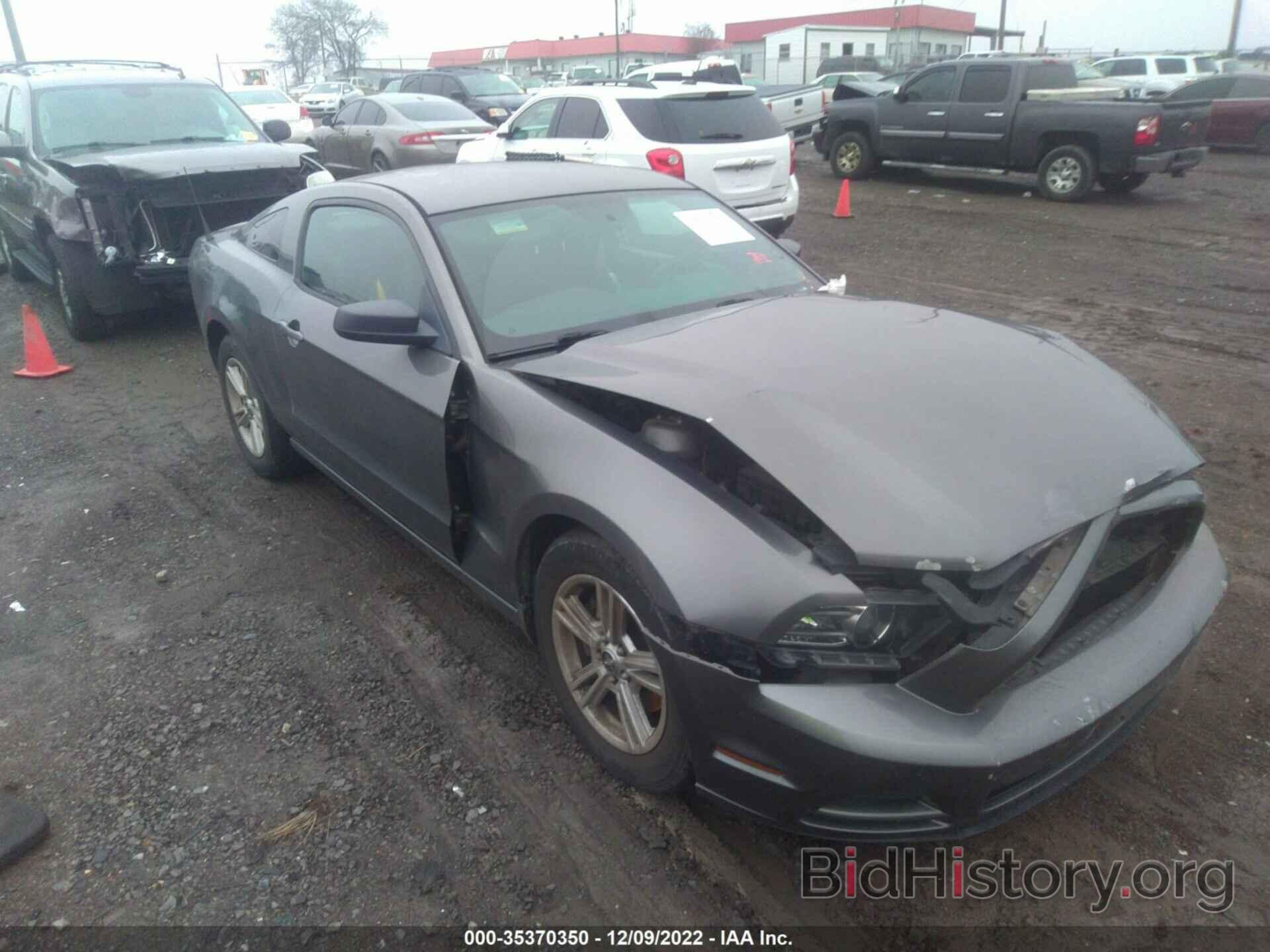 Photo 1ZVBP8AMXD5275286 - FORD MUSTANG 2013
