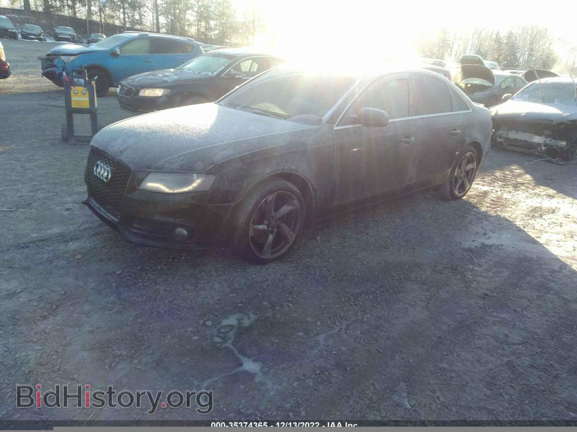 2011 AUDI A4 - VIN: WAUFFAFL8BN025991 - Фото 2
