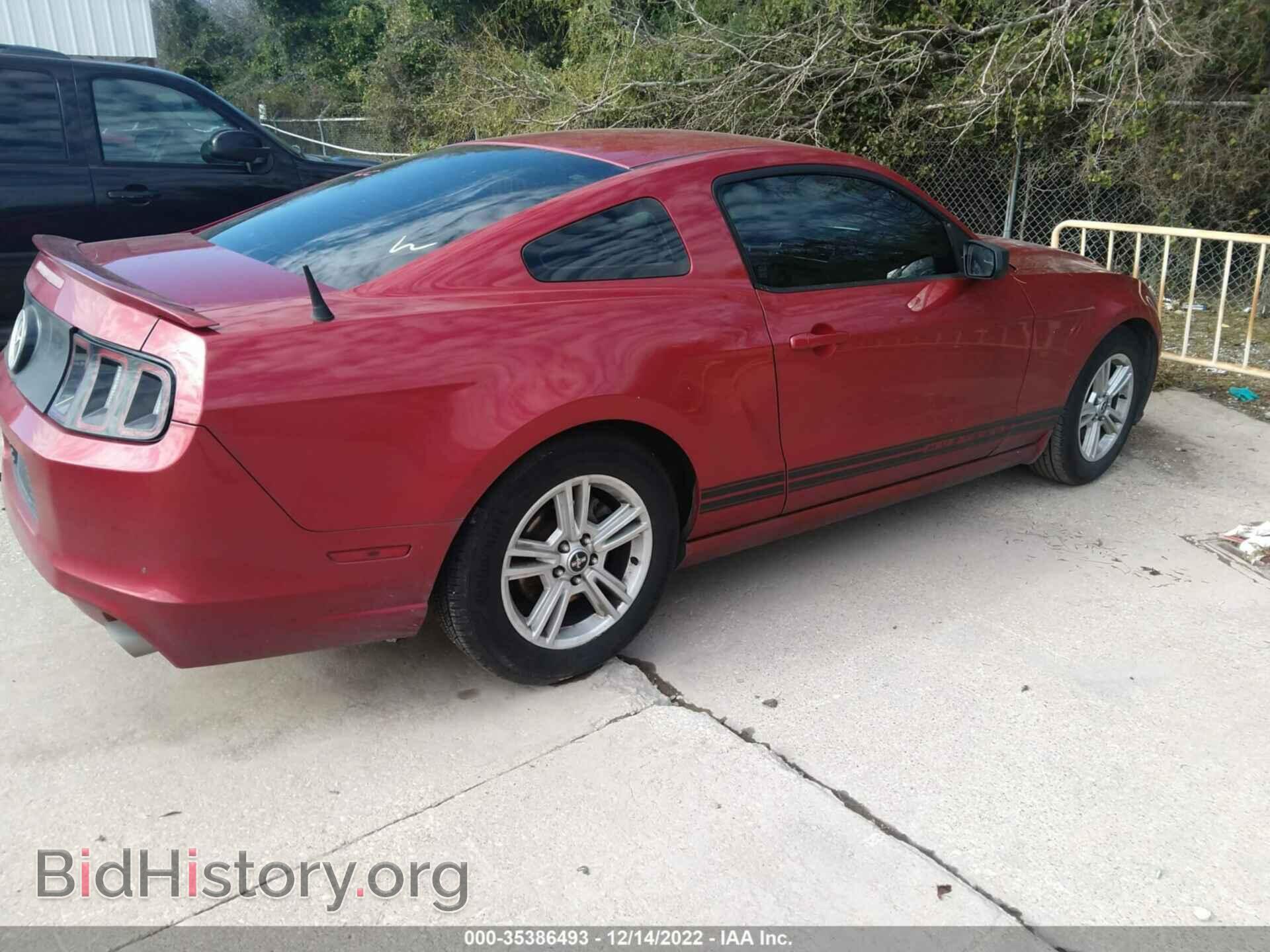 2013 FORD MUSTANG - VIN: 1ZVBP8AM5D5255043 - Фото 4