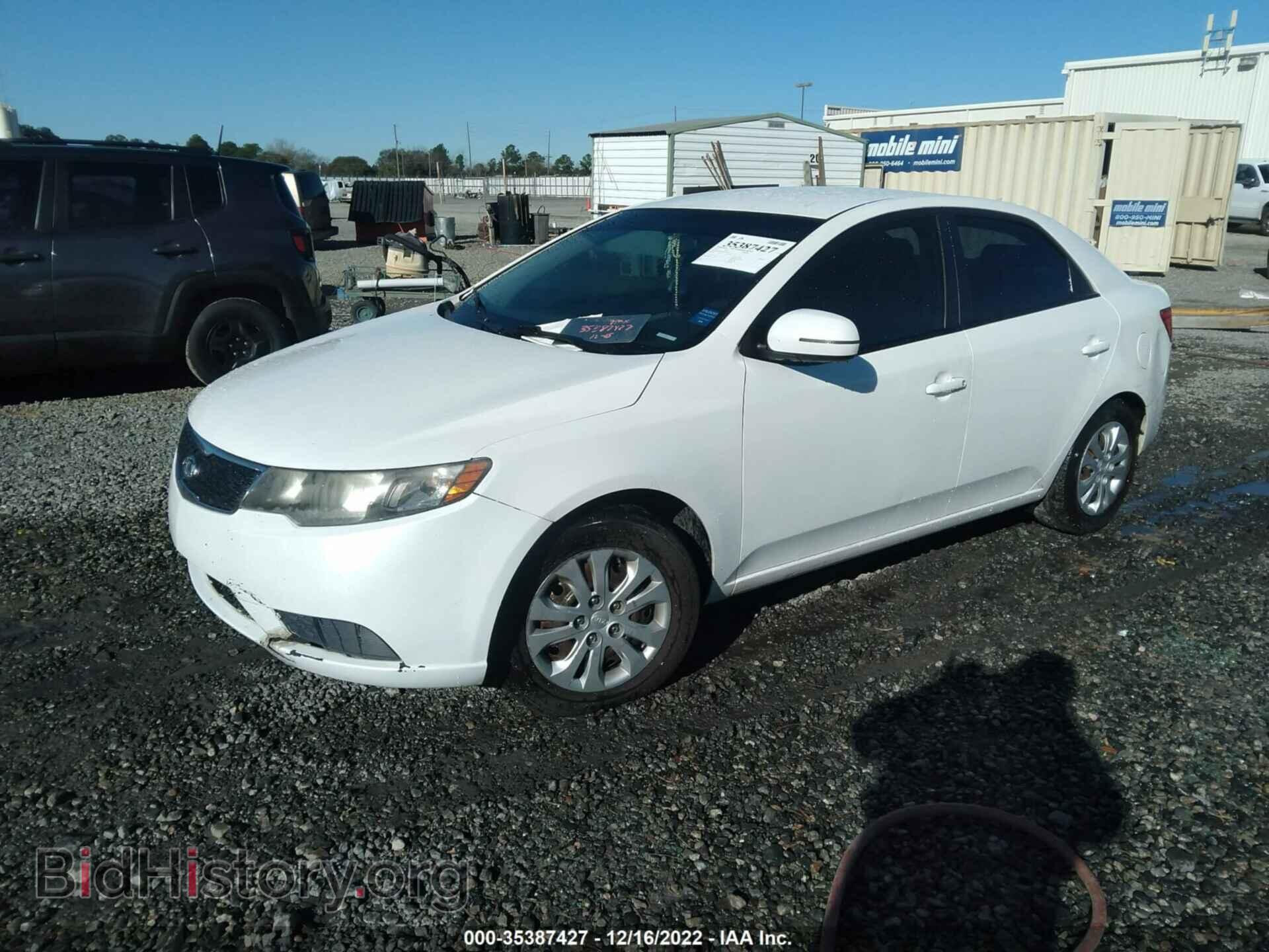 2013 KIA FORTE - VIN: KNAFU4A23D5697112 - Фото 2