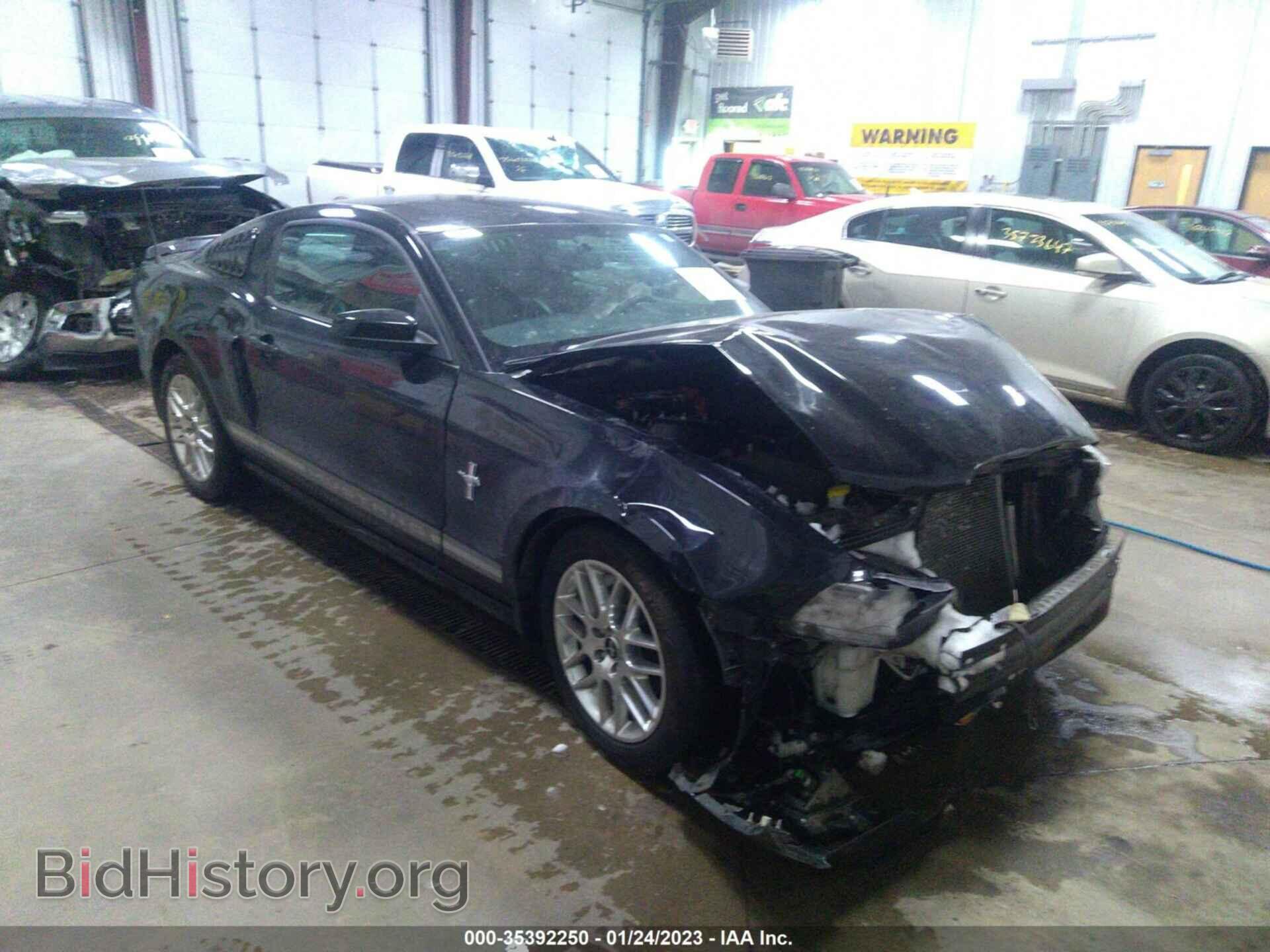 Photo 1ZVBP8AM2E5259309 - FORD MUSTANG 2014