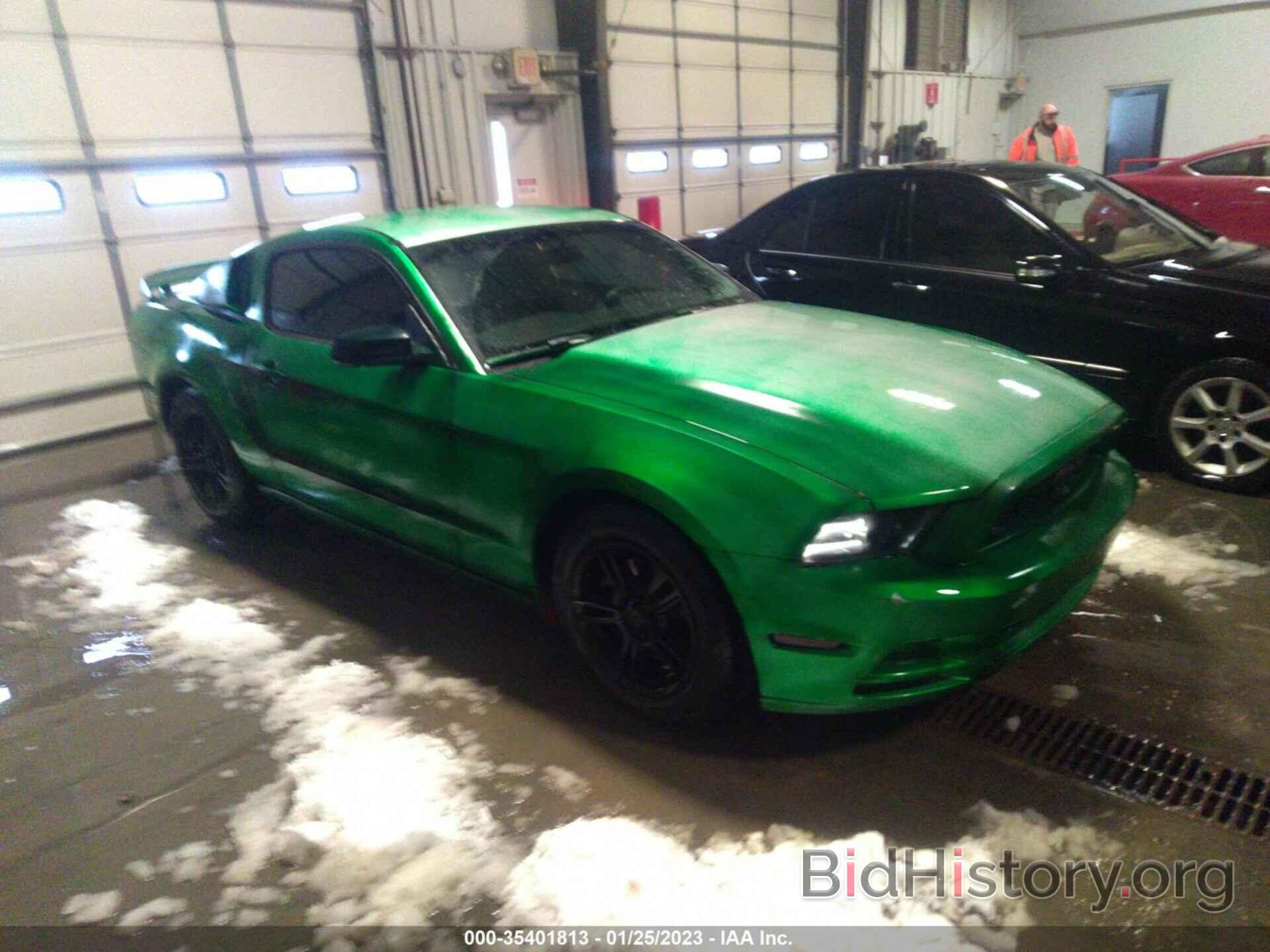 Photo 1ZVBP8AM6D5237036 - FORD MUSTANG 2013