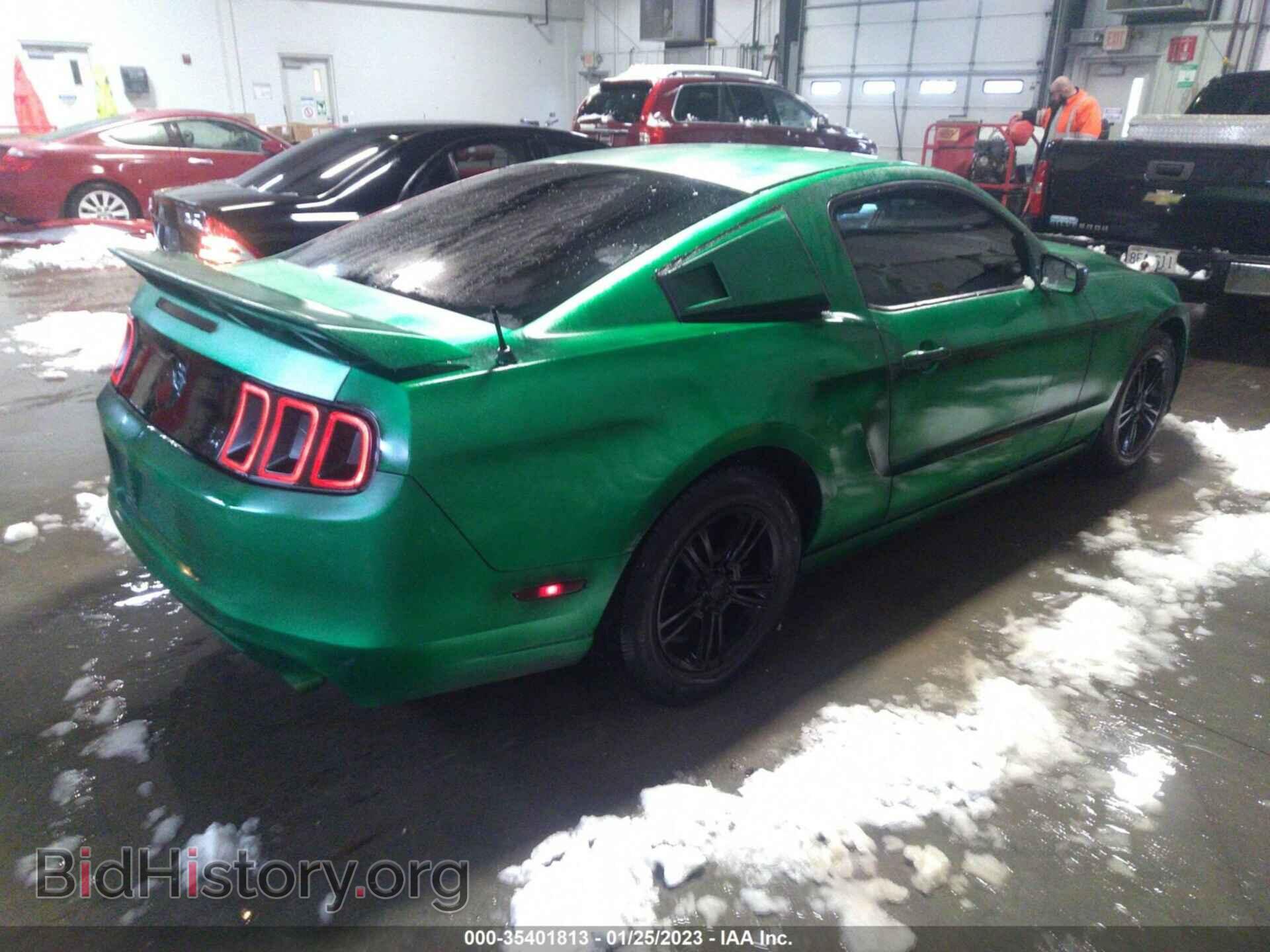 2013 FORD MUSTANG - VIN: 1ZVBP8AM6D5237036 - Фото 4