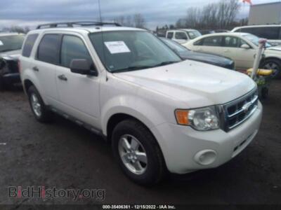 2010 Ford ESCAPE XLT, белый — VIN 1FMCU9D75AKB31004, IAAI
