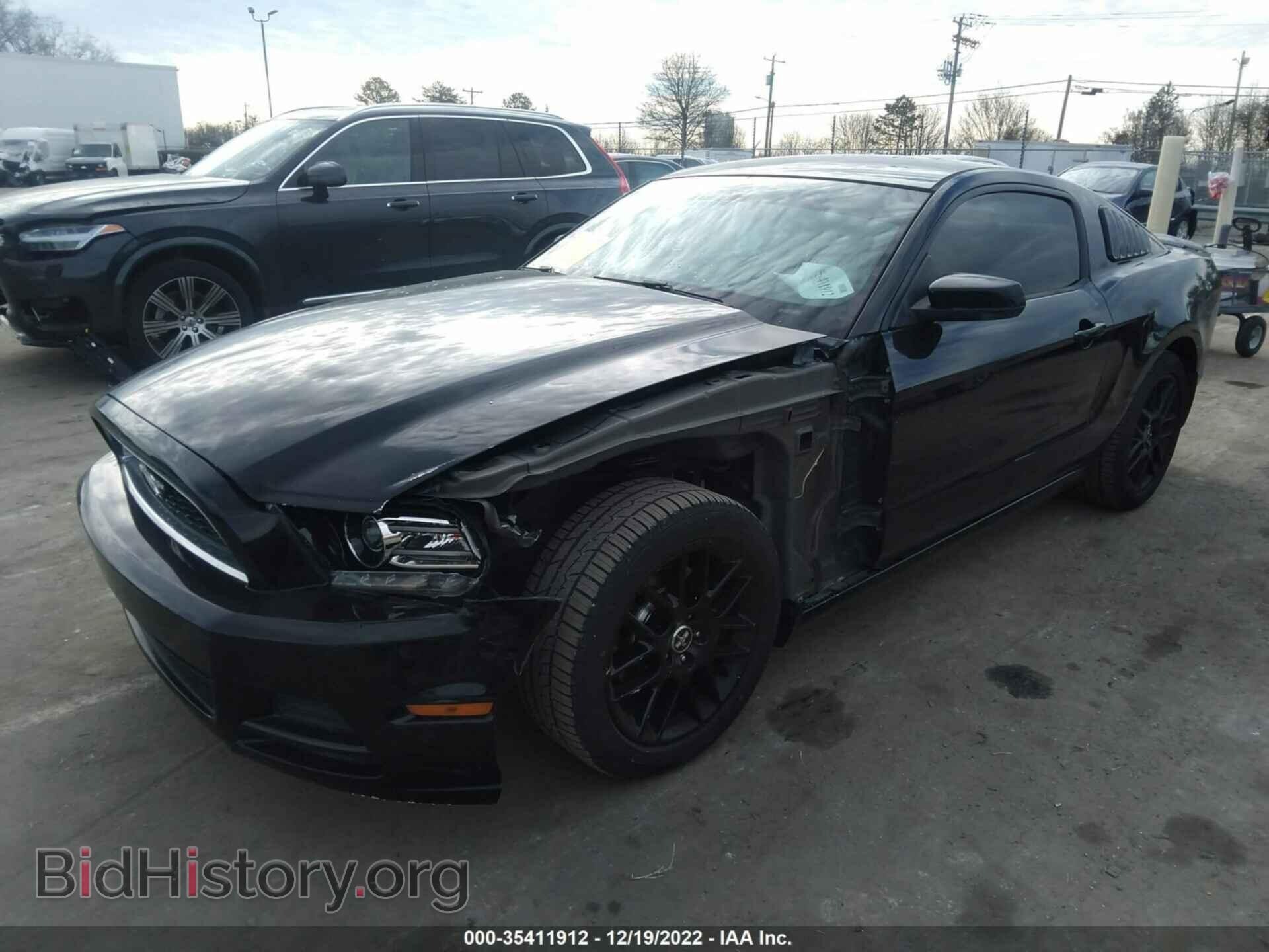 2014 FORD MUSTANG - VIN: 1ZVBP8AM2E5315295 - Фото 2