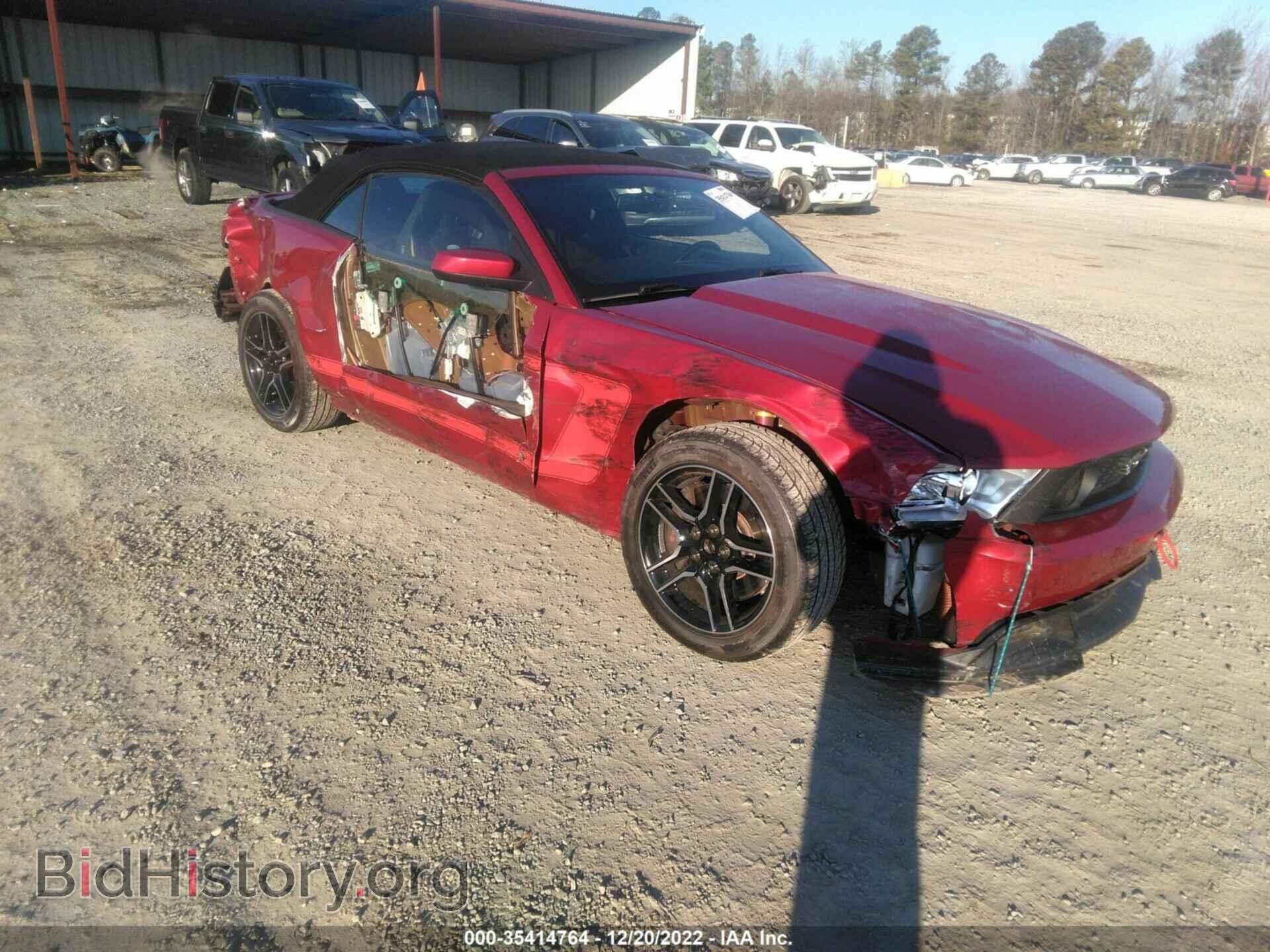 Фотография 1ZVBP8FF2C5269443 - FORD MUSTANG 2012