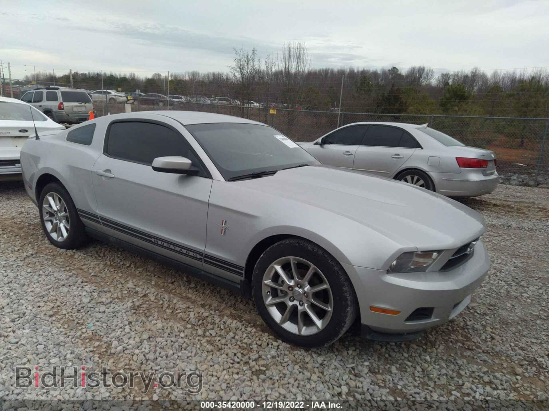 Фотография 1ZVBP8AN0A5172608 - FORD MUSTANG 2010