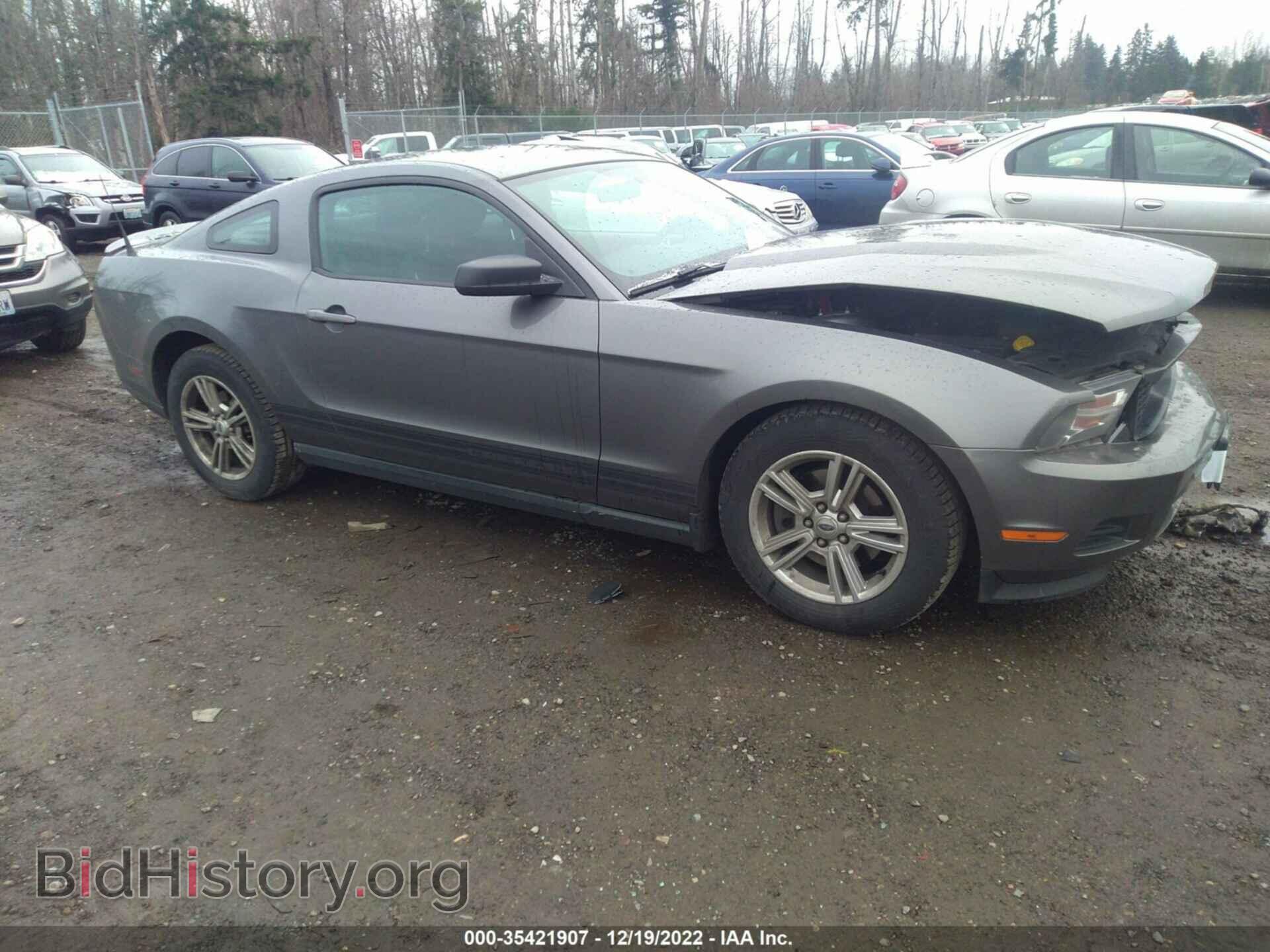 Photo 1ZVBP8AM2B5169685 - FORD MUSTANG 2011
