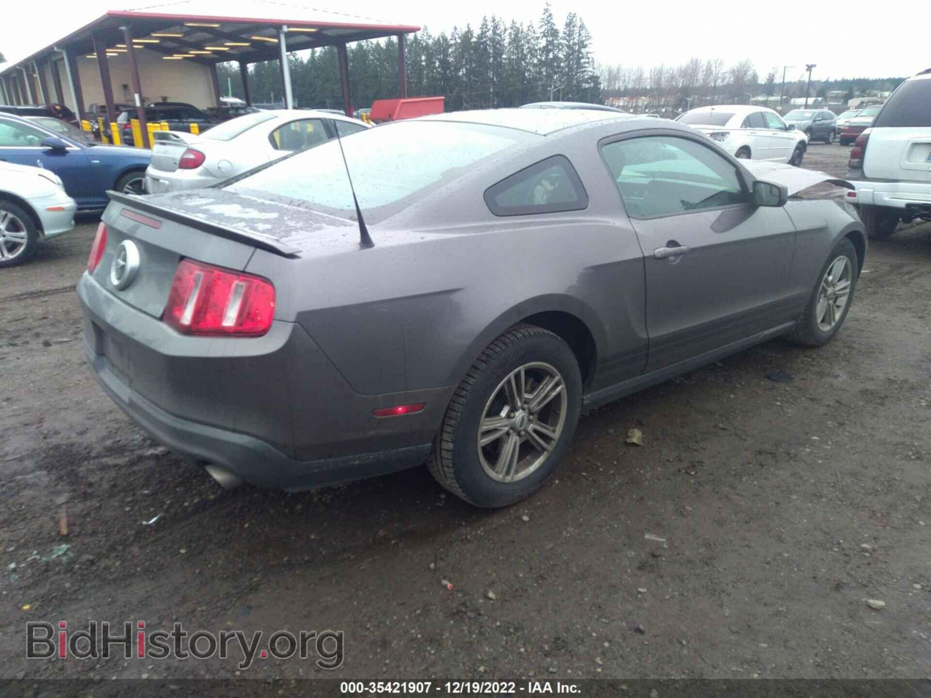 2011 FORD MUSTANG - VIN: 1ZVBP8AM2B5169685 - Фото 4