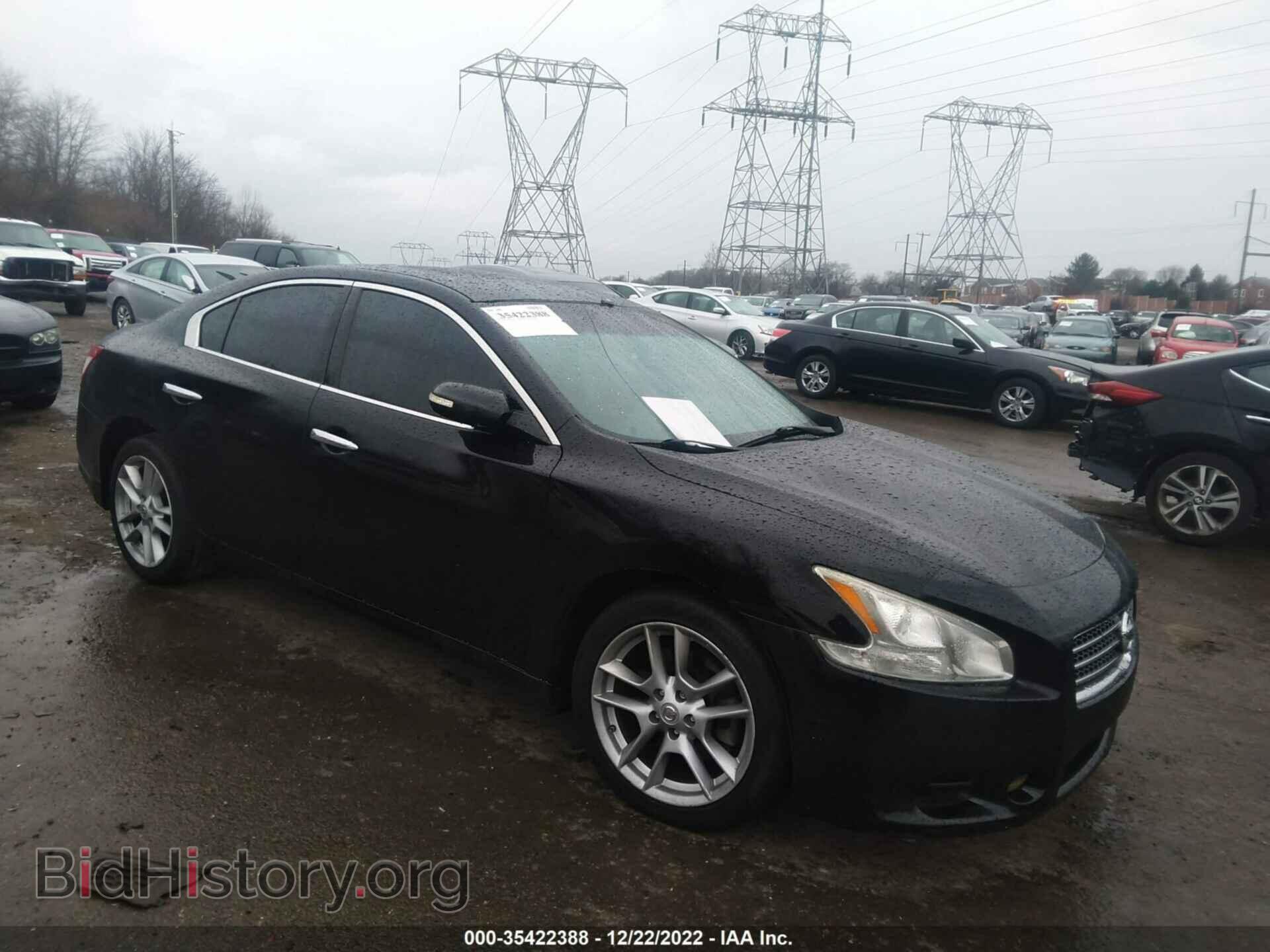 Фотография 1N4AA51E19C832246 - NISSAN MAXIMA 2009