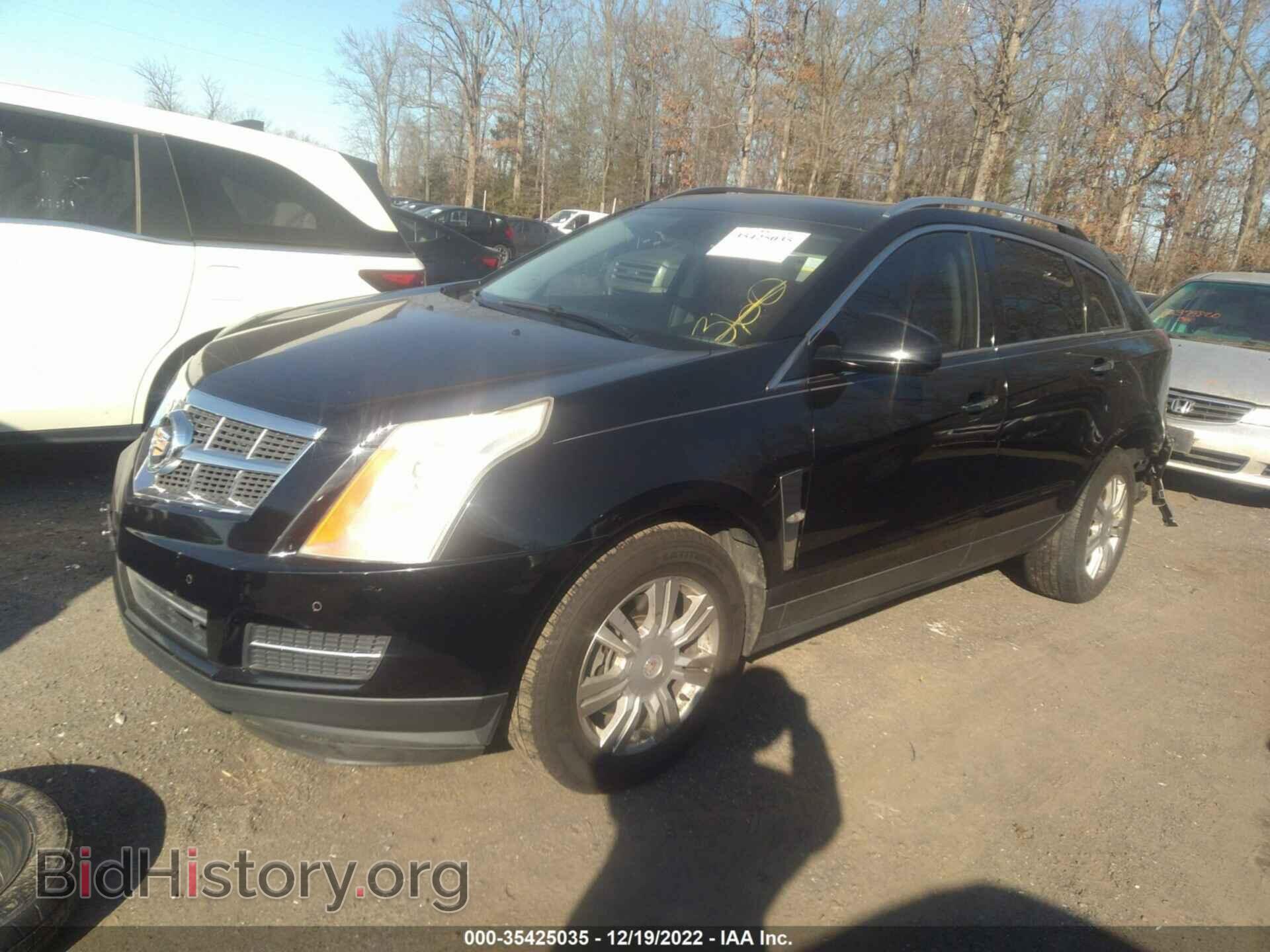 2010 CADILLAC SRX - VIN: 3GYFNDEY3AS622081 - Фото 2