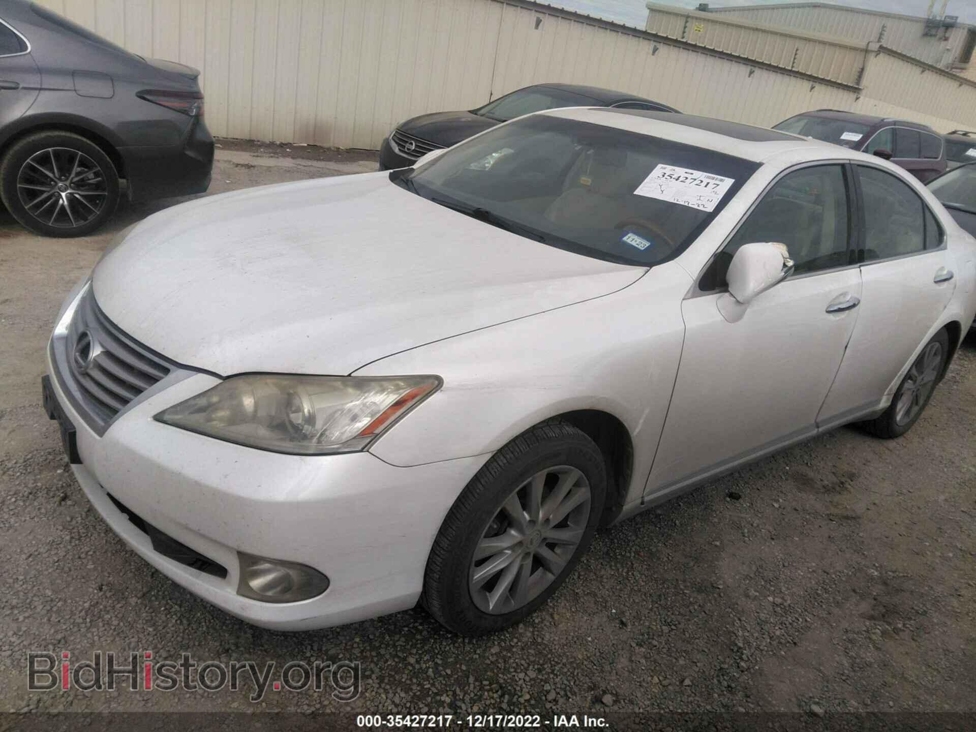 2010 LEXUS ES 350 - VIN: JTHBK1EG7A2365844 - Фото 2