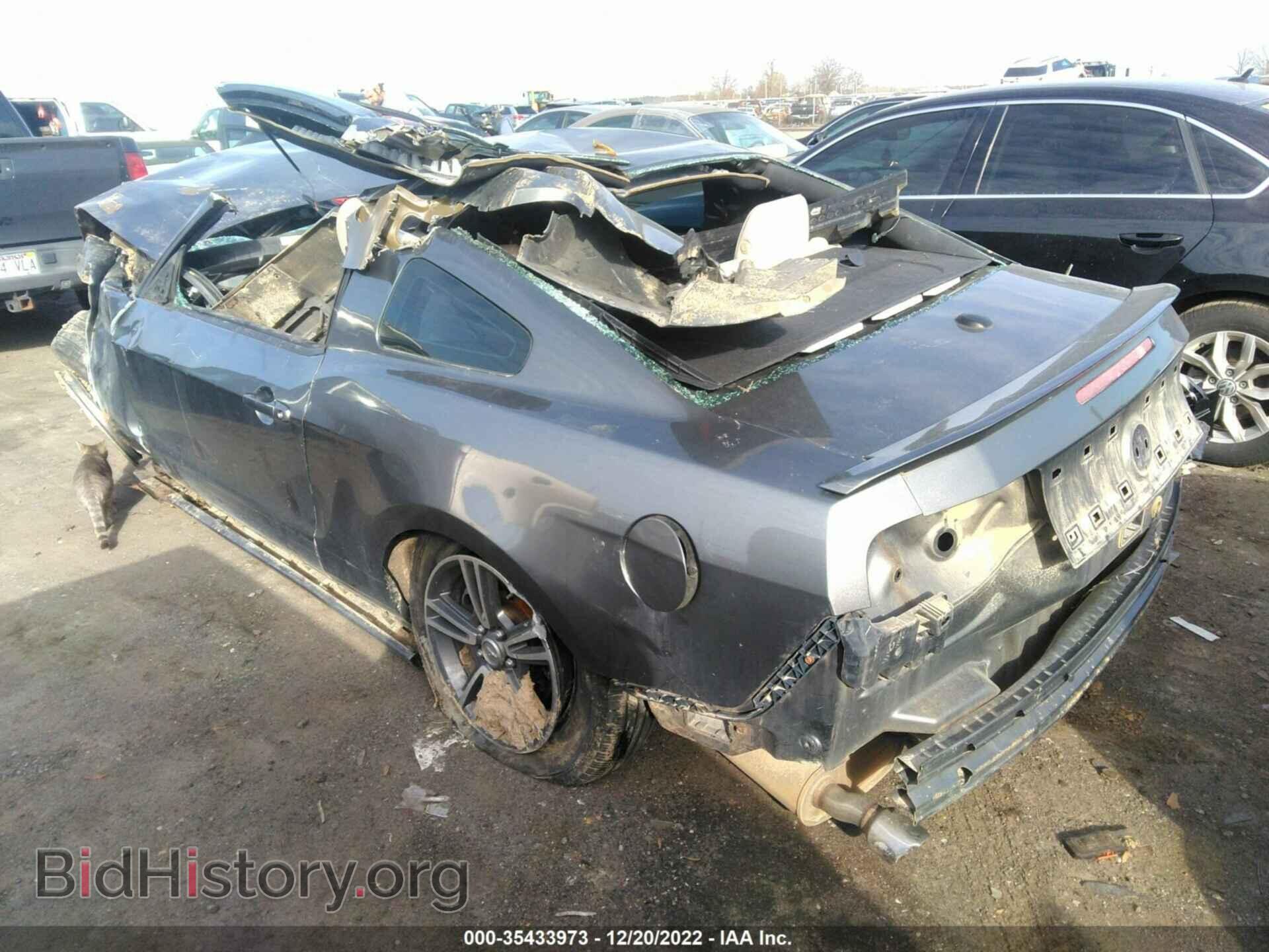2013 FORD MUSTANG - VIN: 1ZVBP8AM8D5204491 - Фото 3