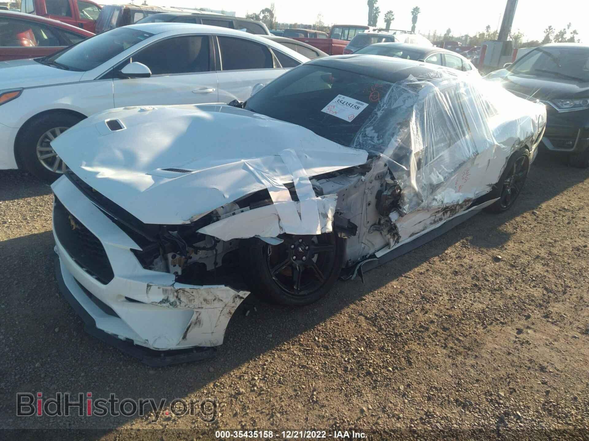 2019 FORD MUSTANG - VIN: 1FA6P8TH1K5202539 - Фото 2