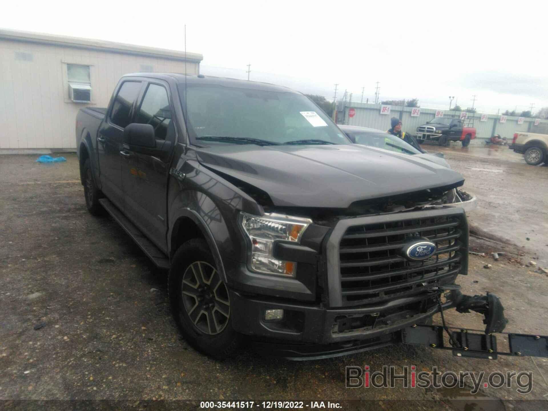 Photo 1FTEW1EP4FKE43569 - FORD F-150 2015