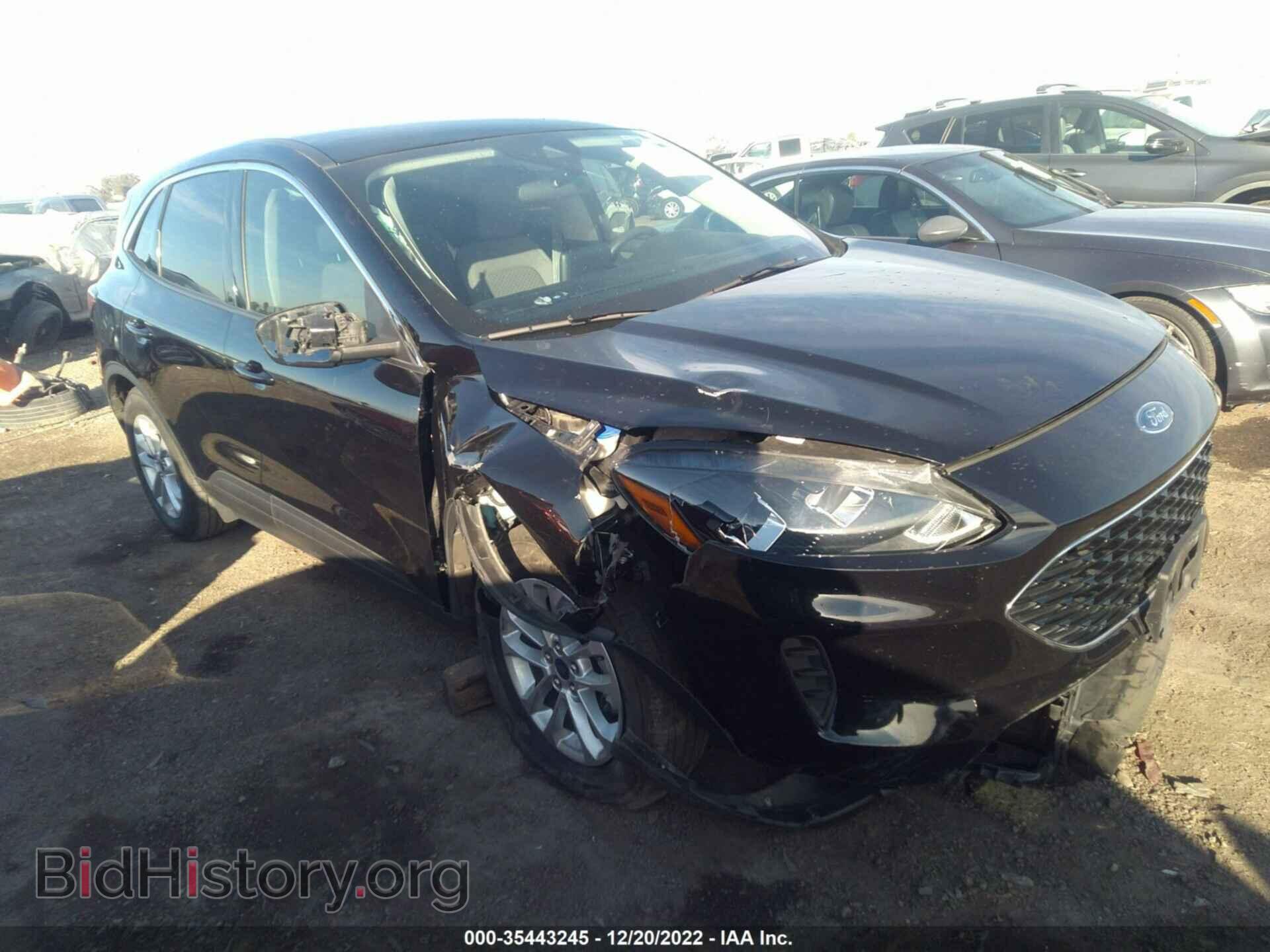 Photo 1FMCU0G69LUA35446 - FORD ESCAPE 2020