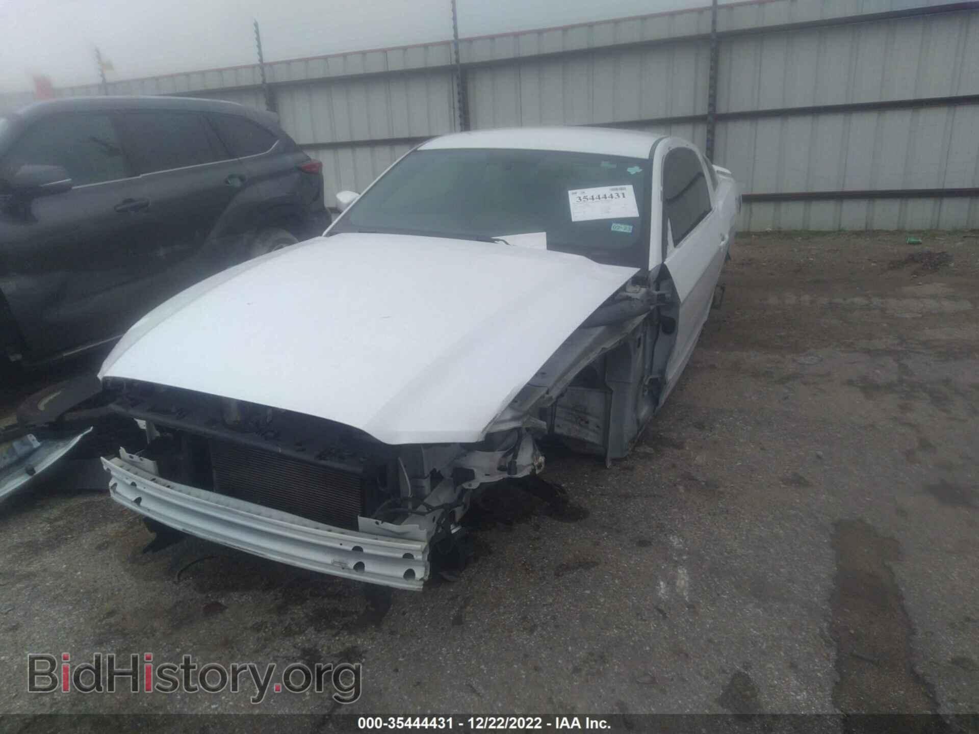 2014 FORD MUSTANG - VIN: 1ZVBP8AM9E5324737 - Фото 2
