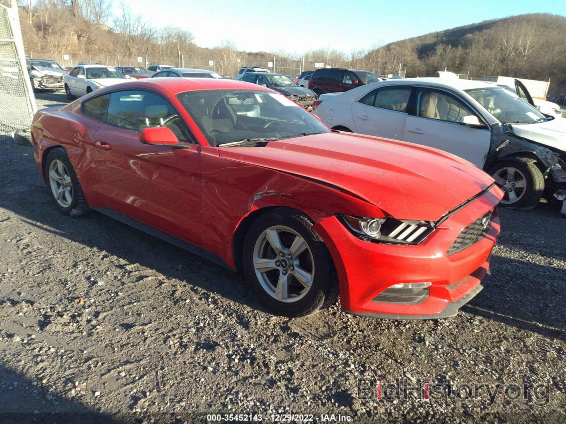 Photo 1FA6P8AM8H5235031 - FORD MUSTANG 2017