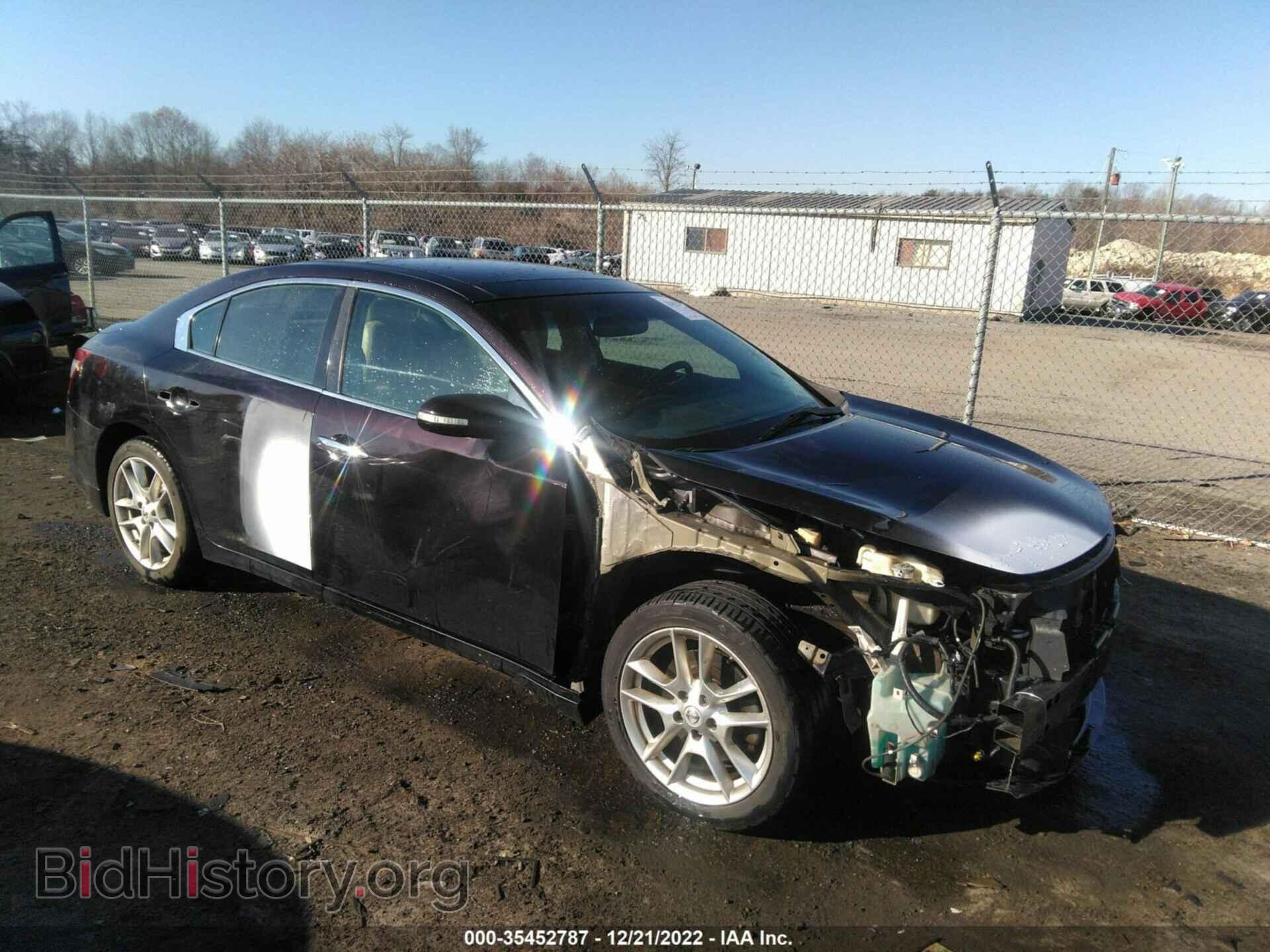 Photo 1N4AA5AP3AC830603 - NISSAN MAXIMA 2010