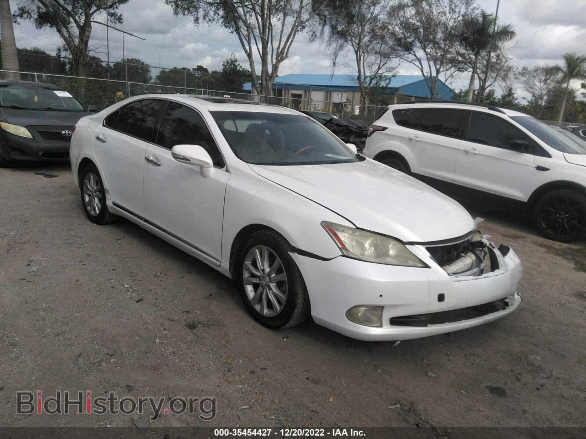 Фотография JTHBK1EG3A2361032 - LEXUS ES 350 2010