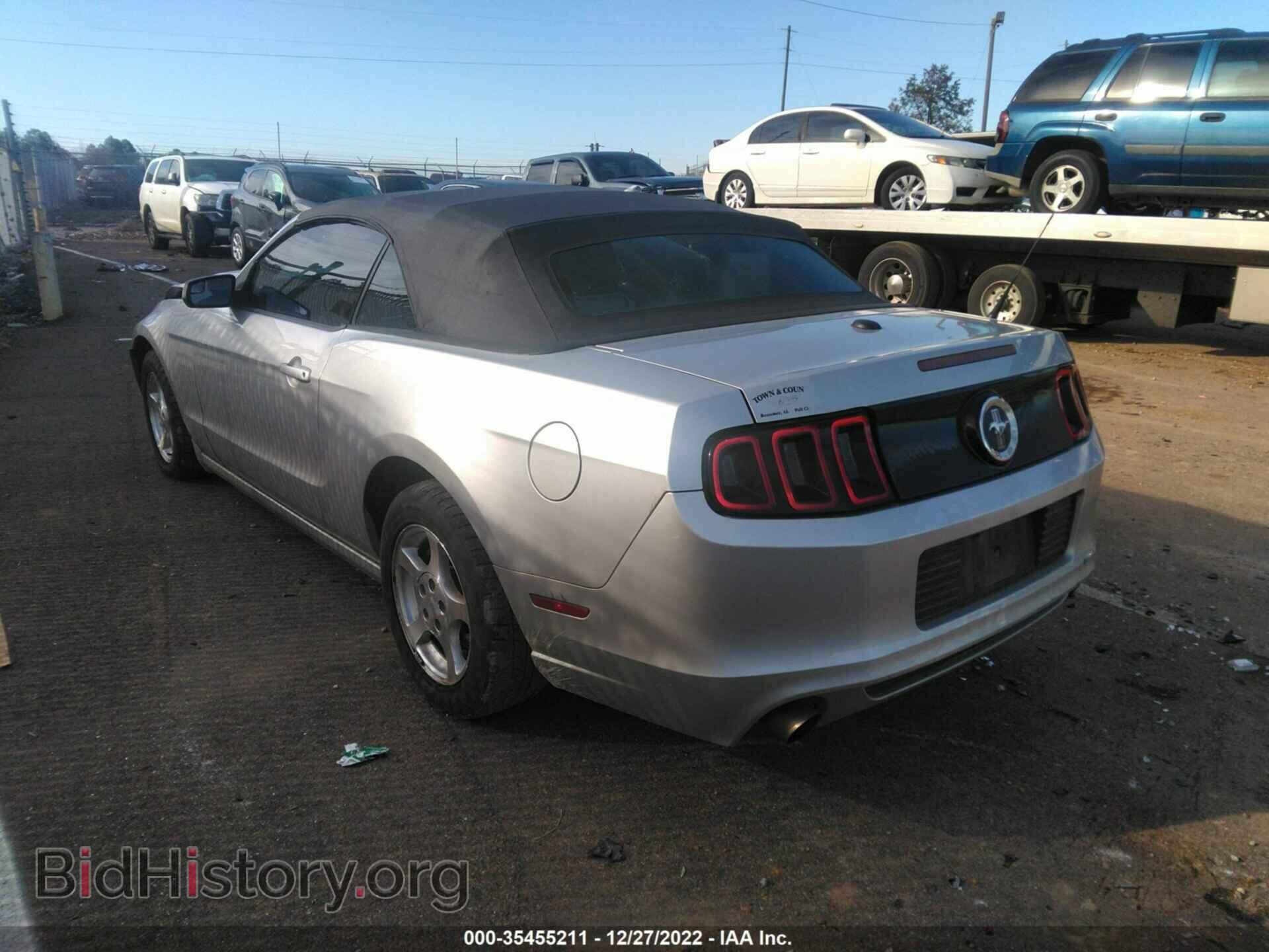 2013 FORD MUSTANG - VIN: 1ZVBP8EM6D5269933 - Фото 3