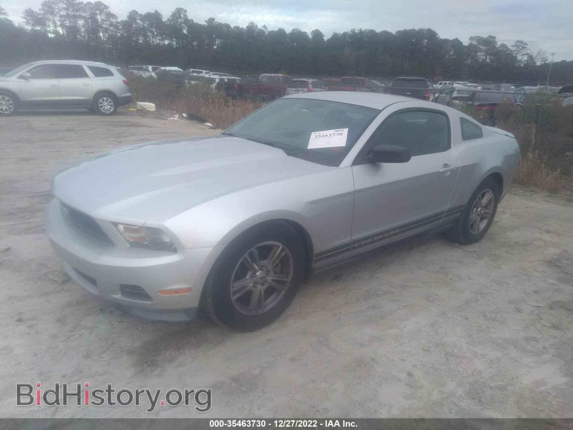 2011 FORD MUSTANG - VIN: 1ZVBP8AM8B5164068 - Фото 2