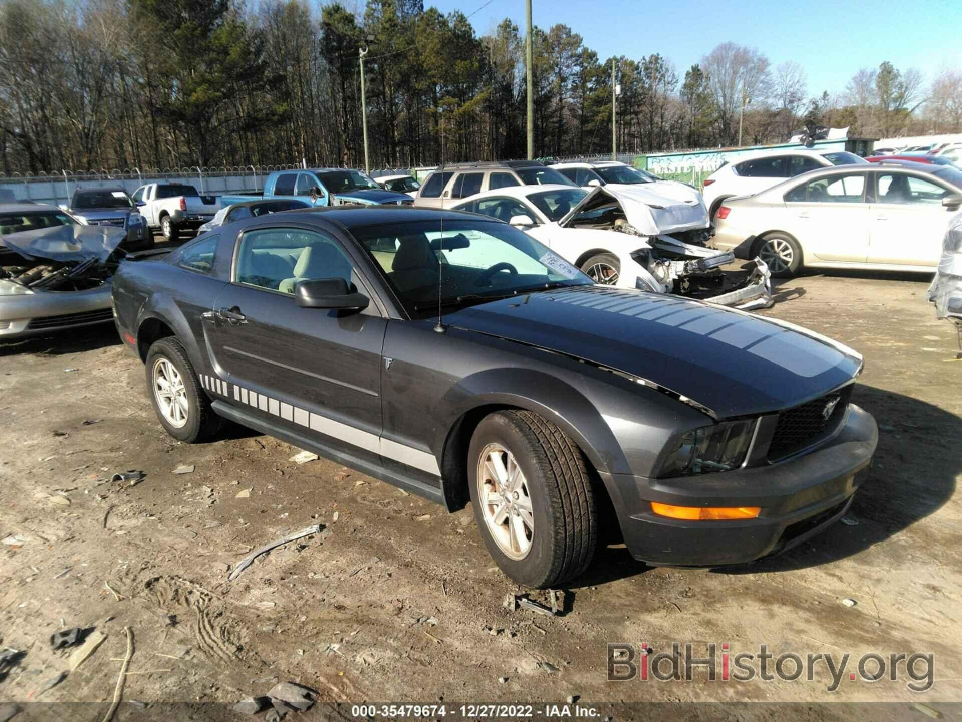 Photo 1ZVHT80N385124179 - FORD MUSTANG 2008