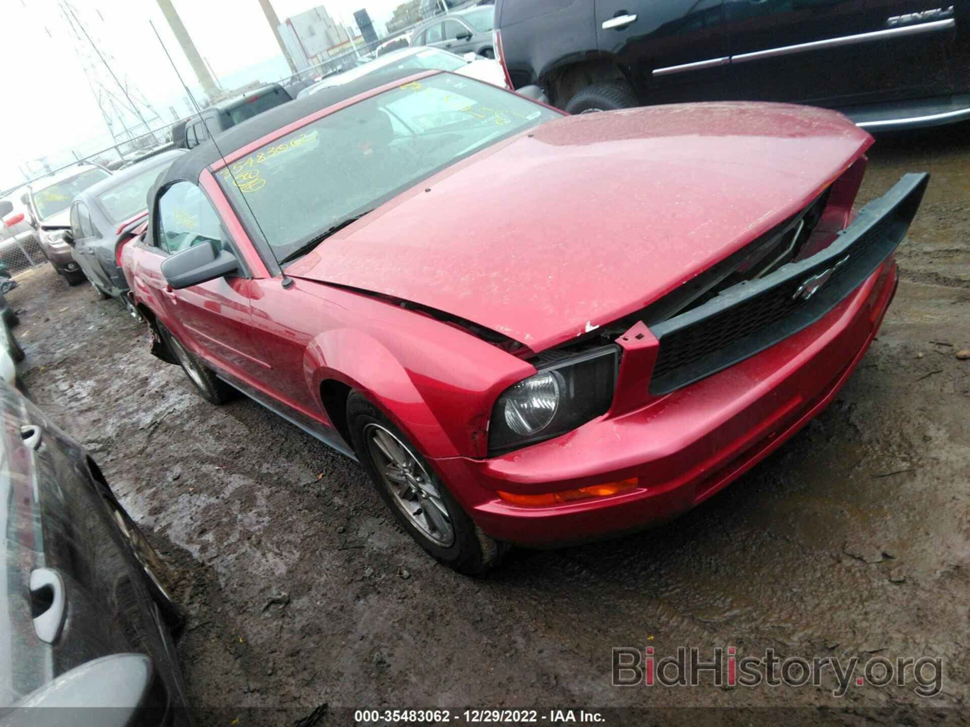 Photo 1ZVFT84N165206362 - FORD MUSTANG 2006