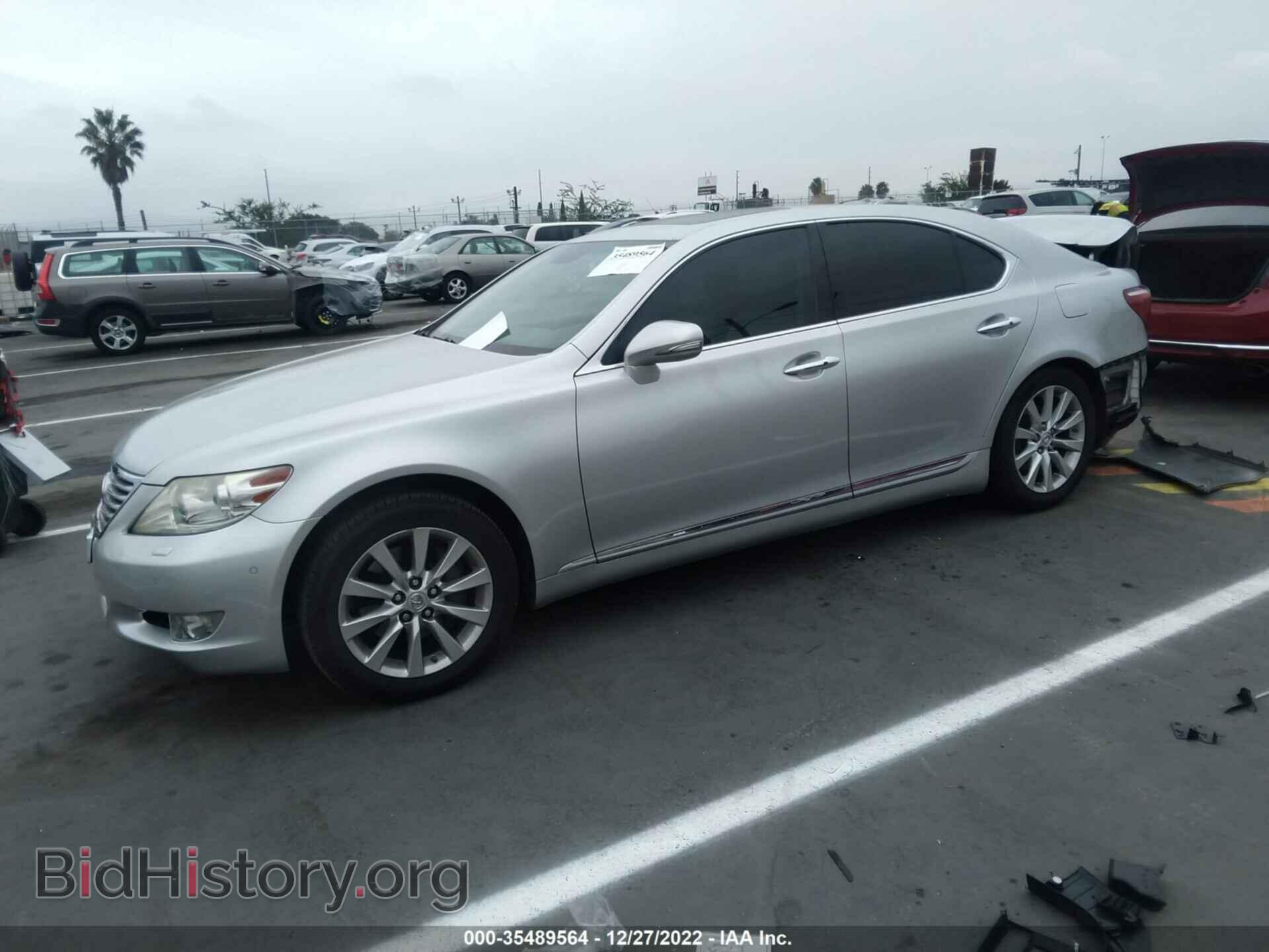 2010 LEXUS LS 460 - VIN: JTHBL5EF8A5101462 - Фото 2