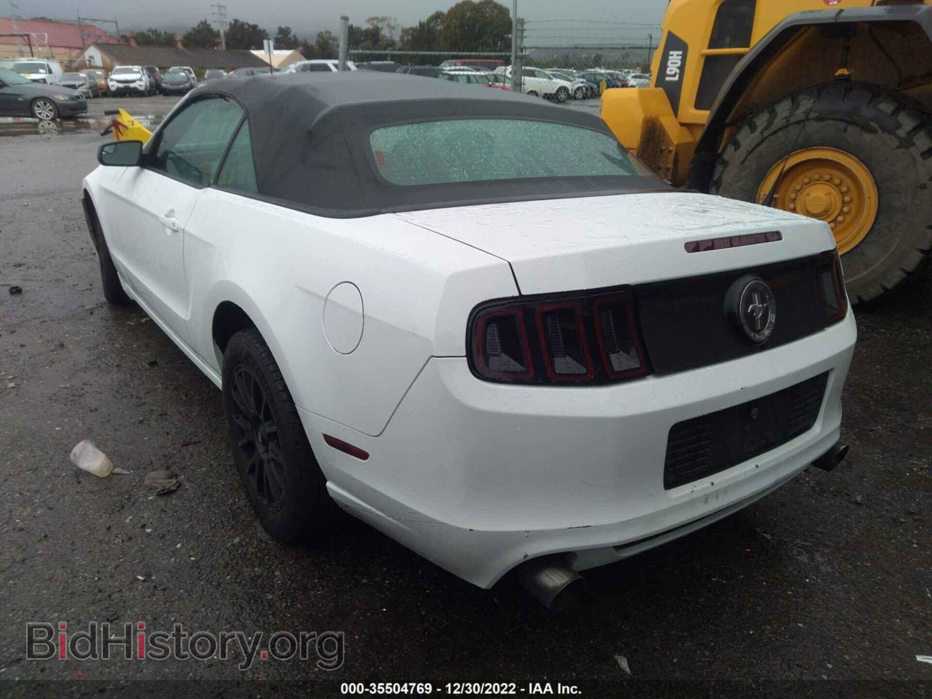 2014 FORD MUSTANG - VIN: 1ZVBP8EM0E5227078 - Фото 3