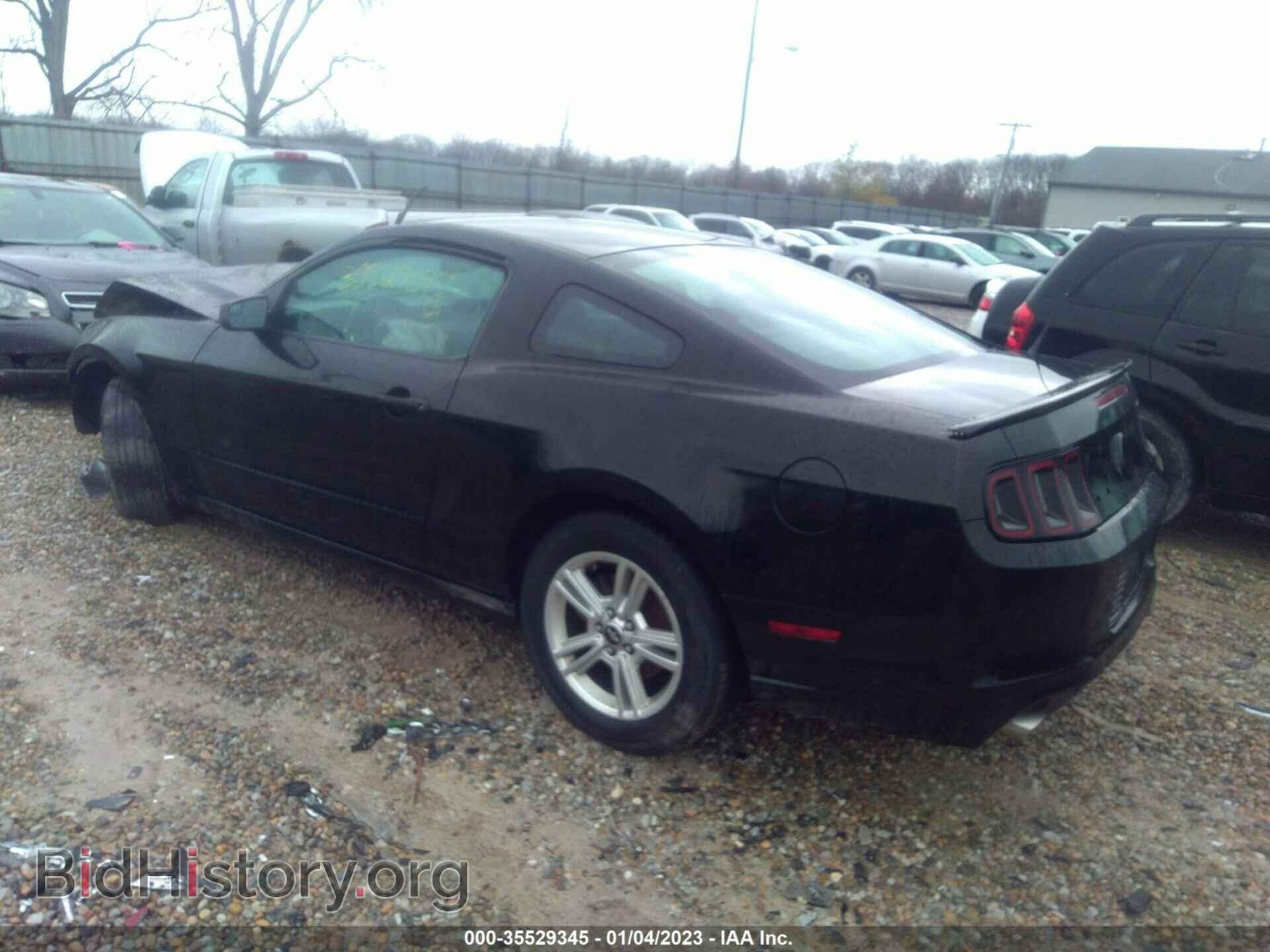 2013 FORD MUSTANG - VIN: 1ZVBP8AM4D5237245 - Фото 3