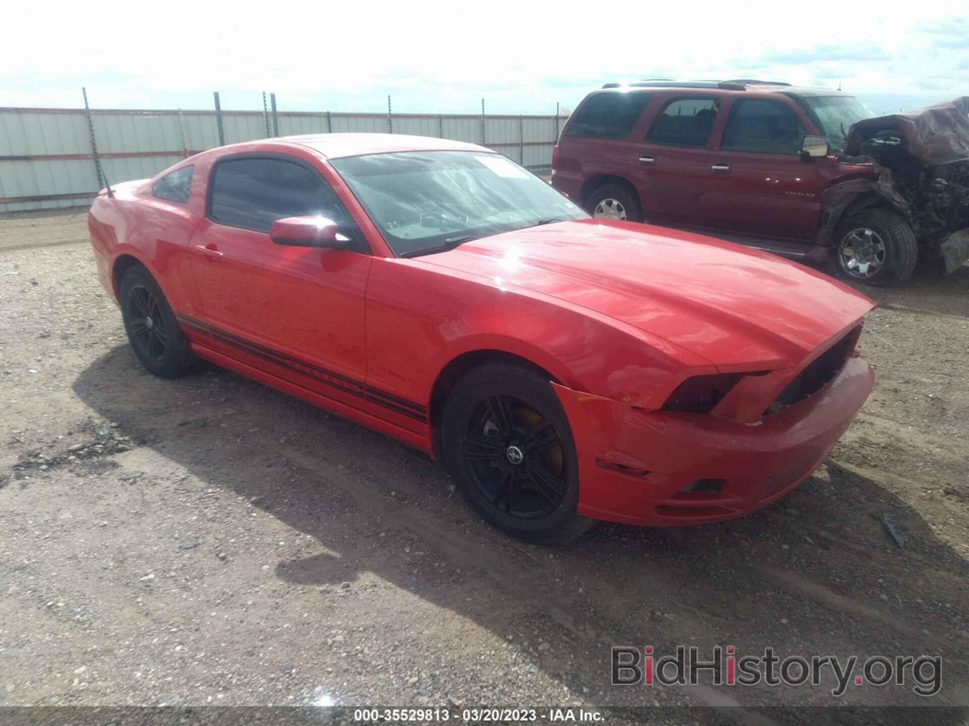 Photo 1ZVBP8AM8D5213420 - FORD MUSTANG 2013