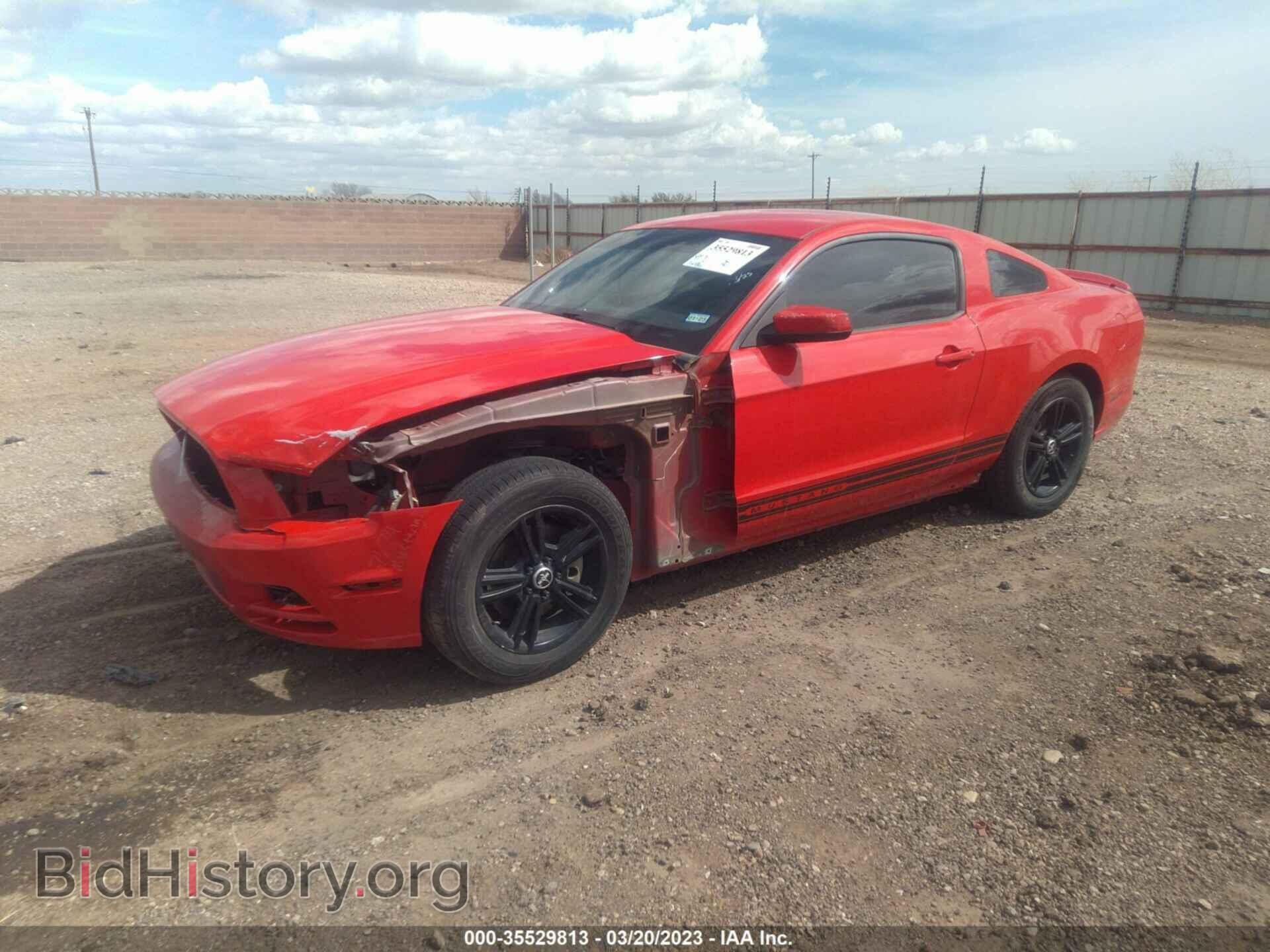 2013 FORD MUSTANG - VIN: 1ZVBP8AM8D5213420 - Фото 2