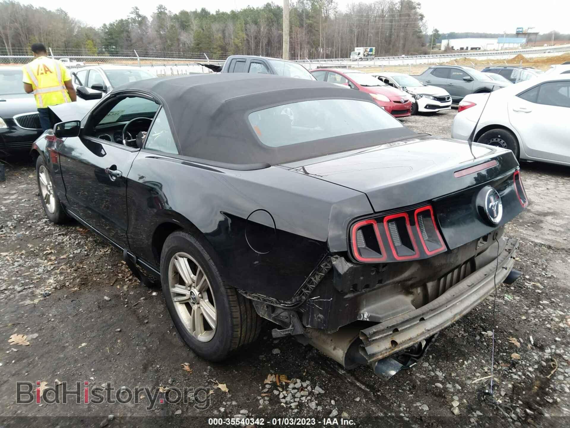 2014 FORD MUSTANG - VIN: 1ZVBP8EM0E5300305 - Фото 3