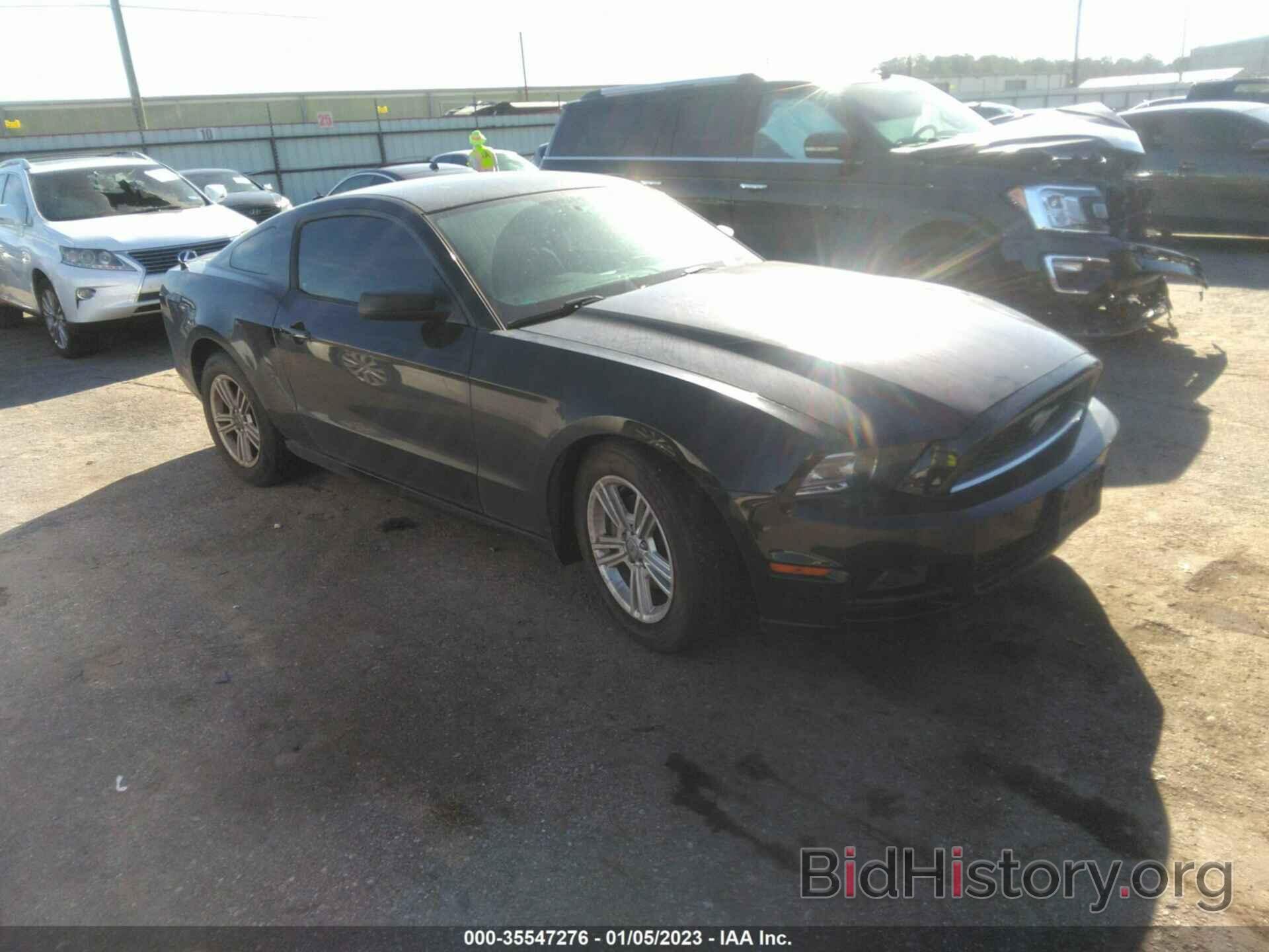 Photo 1ZVBP8AM5E5207530 - FORD MUSTANG 2014