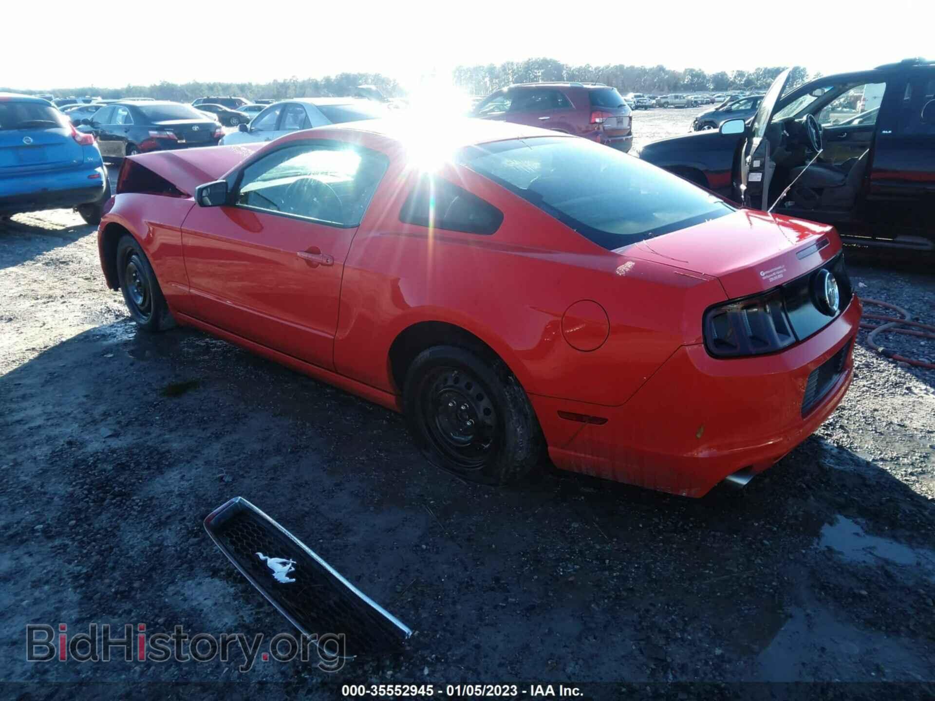 2013 FORD MUSTANG - VIN: 1ZVBP8AMXD5243650 - Фото 3