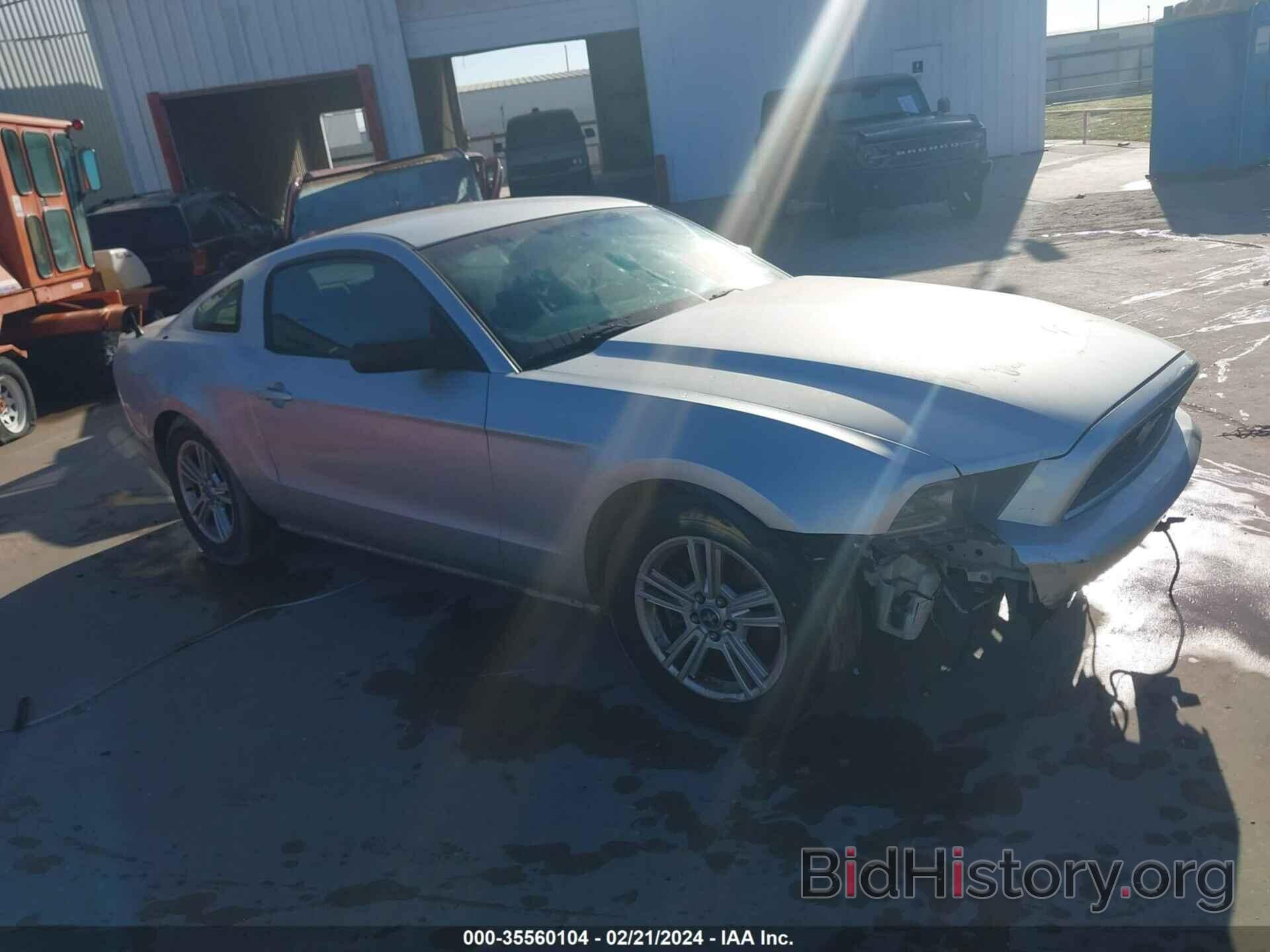 Photo 1ZVBP8AM7E5245535 - FORD MUSTANG 2014
