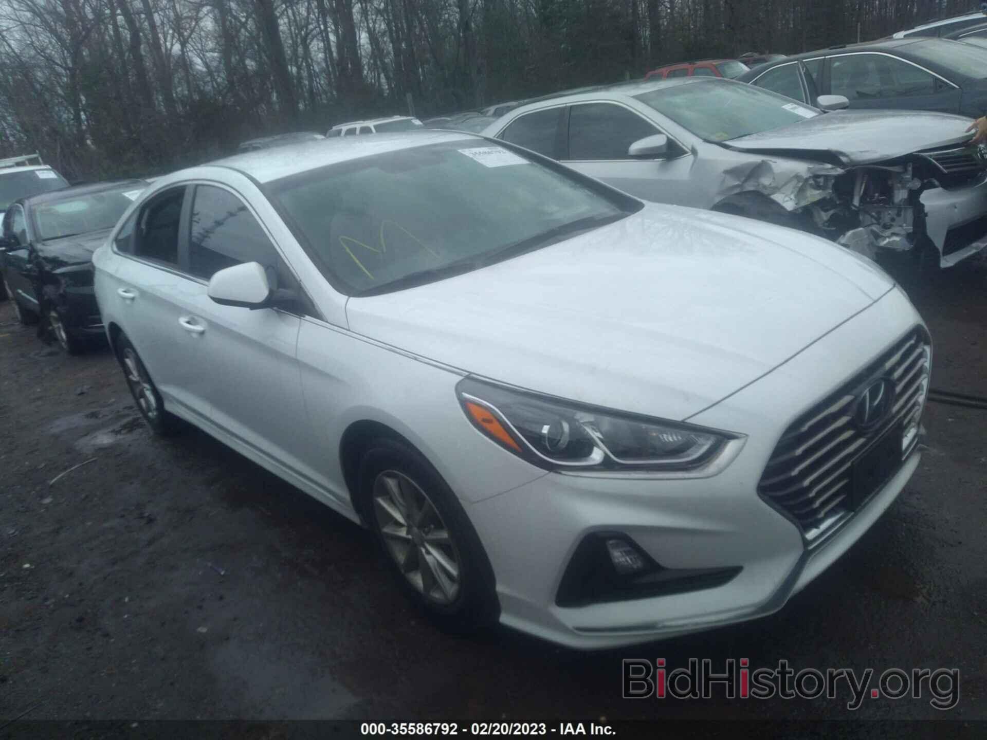 Photo 5NPE24AF0KH767511 - HYUNDAI SONATA 2019