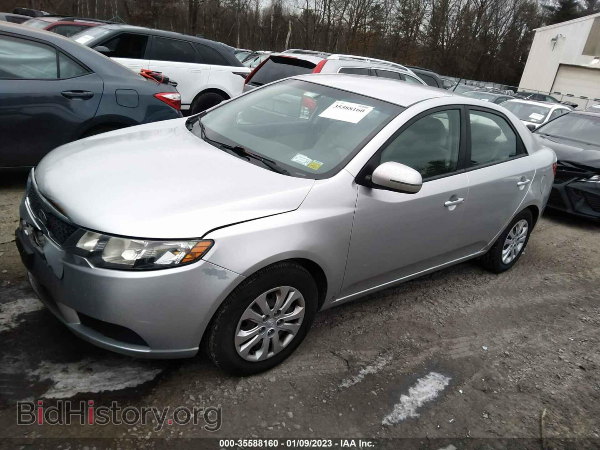 2012 KIA FORTE - VIN: KNAFU4A29C5510695 - Фото 2