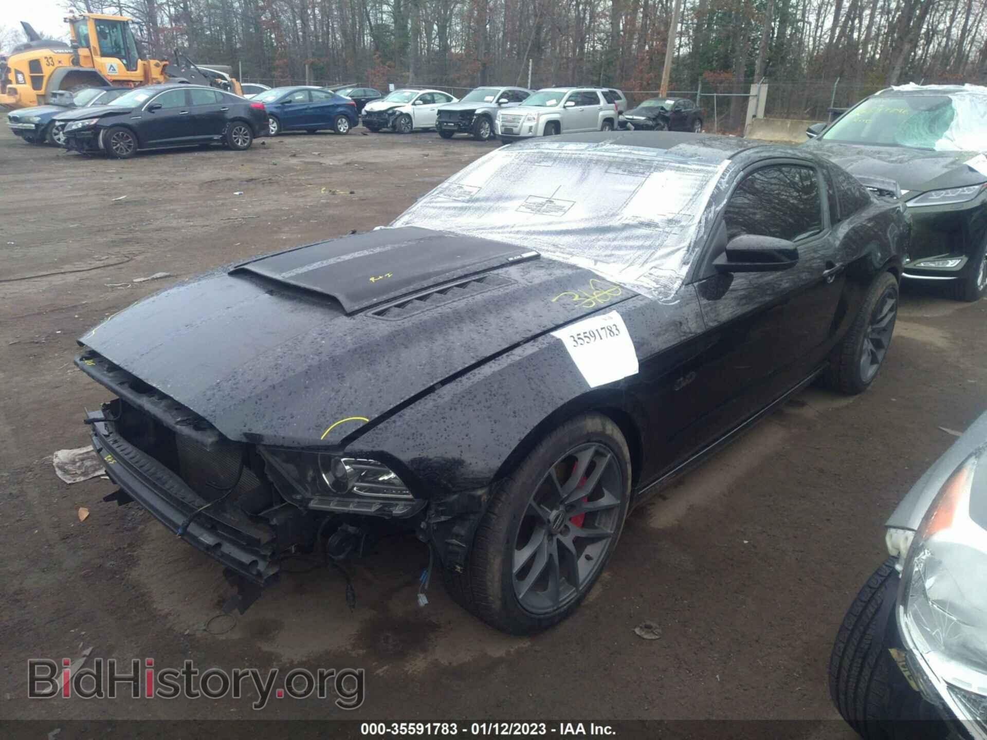 2013 FORD MUSTANG - VIN: 1ZVBP8CF3D5283972 - Фото 2