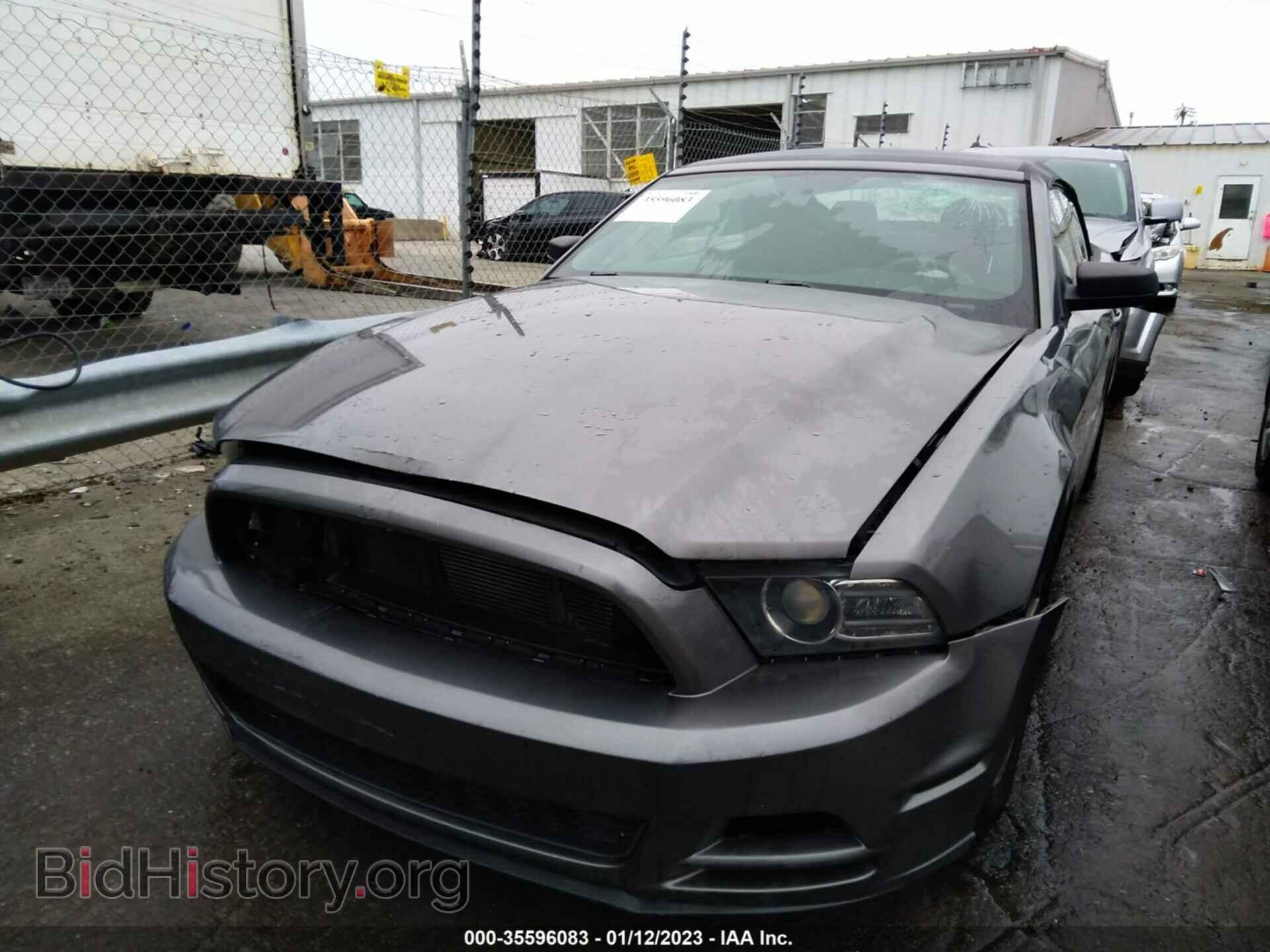 2014 FORD MUSTANG - VIN: 1ZVBP8EM1E5232211 - Фото 6