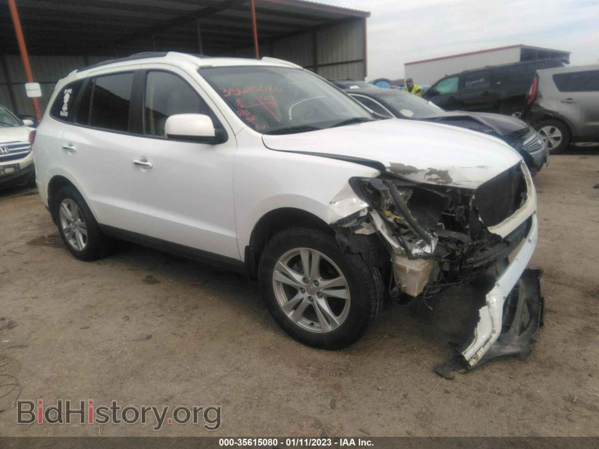 Фотография 5NMSK4AG9AH335071 - HYUNDAI SANTA FE 2010