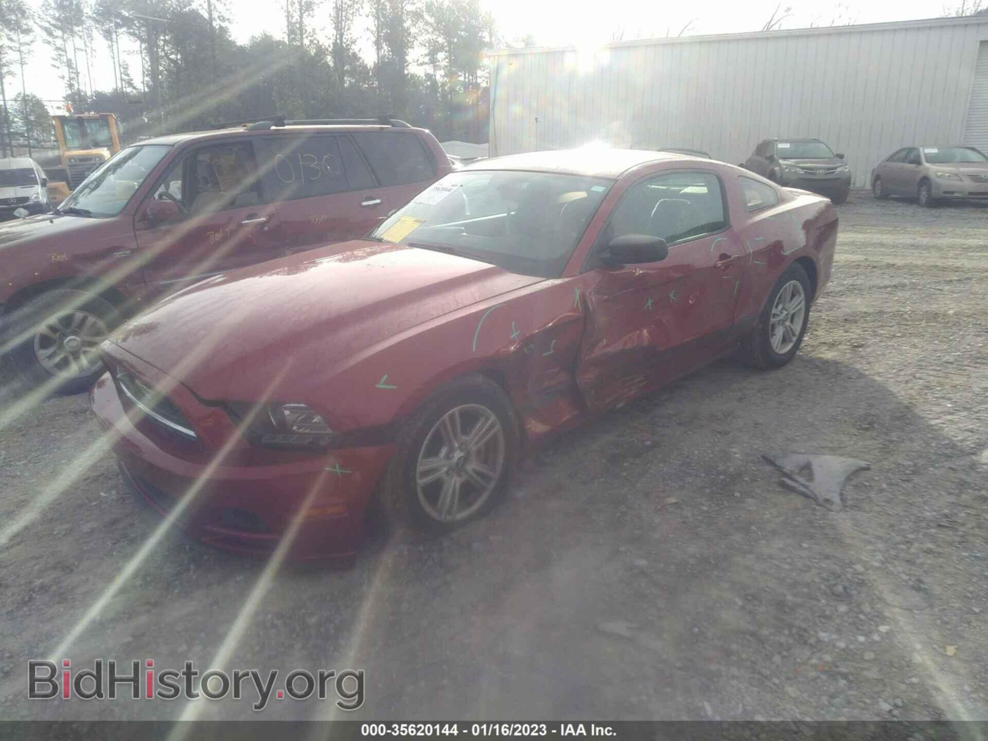 2014 FORD MUSTANG - VIN: 1ZVBP8AM4E5276385 - Фото 2