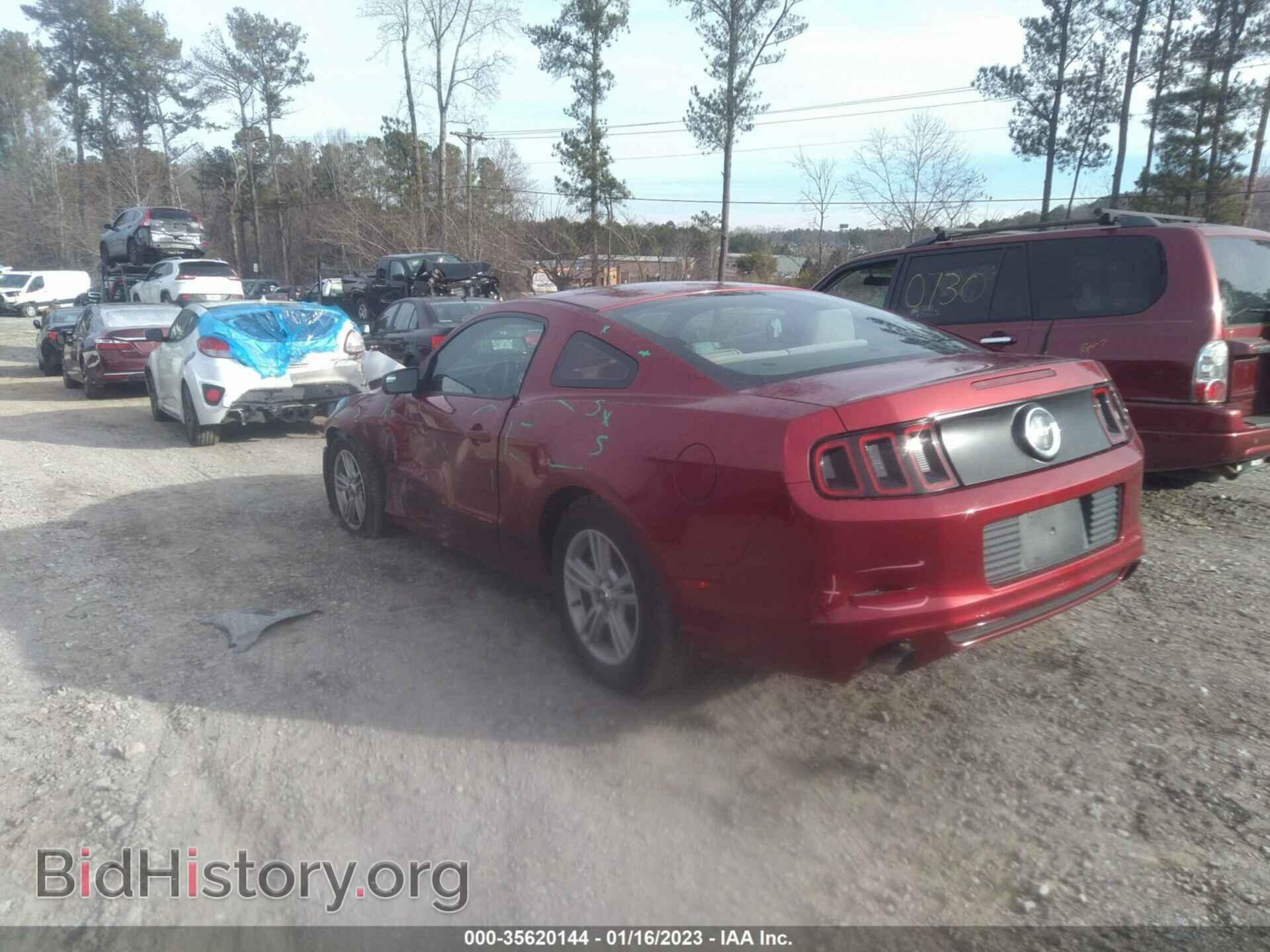 2014 FORD MUSTANG - VIN: 1ZVBP8AM4E5276385 - Фото 3