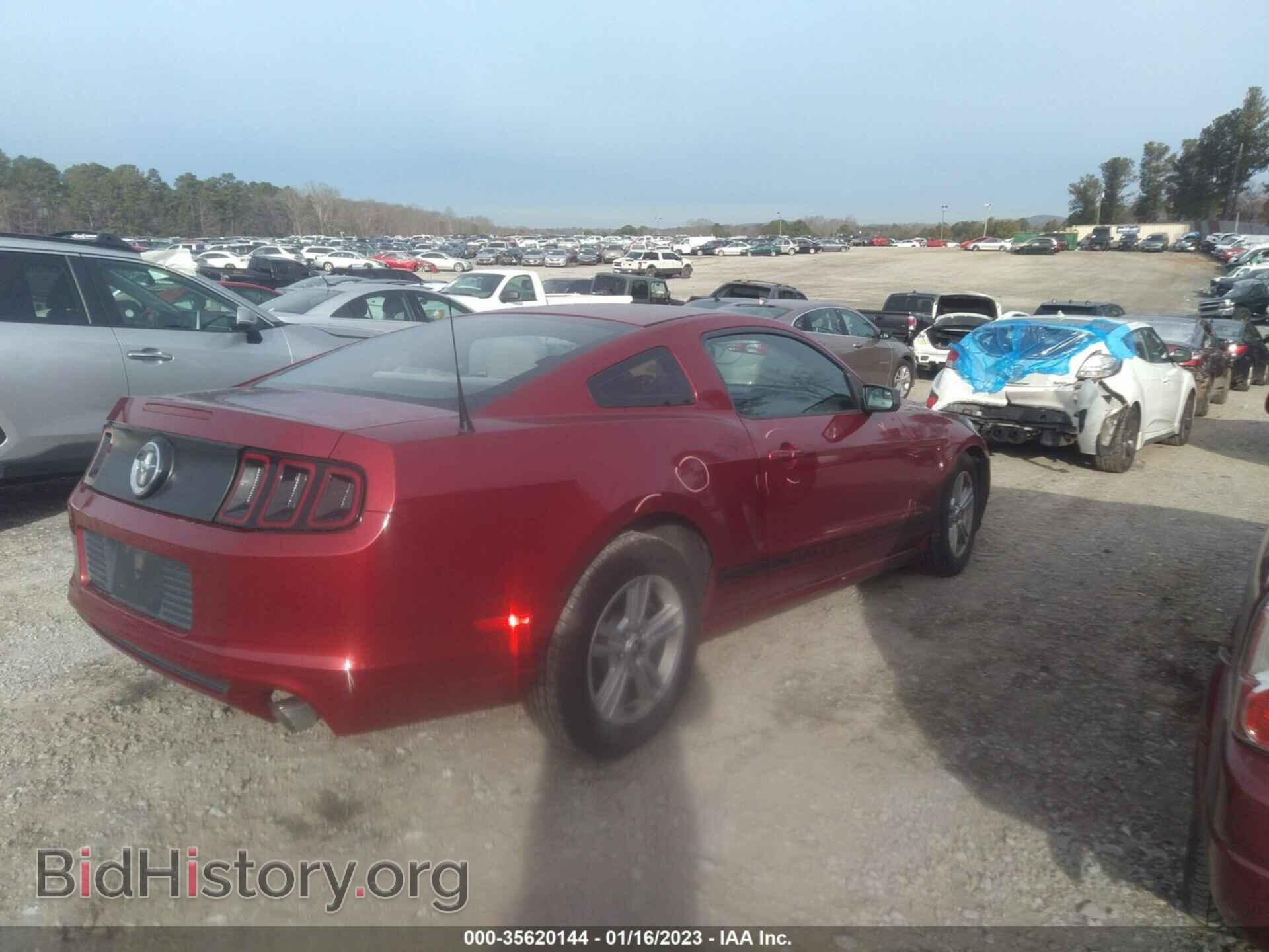 2014 FORD MUSTANG - VIN: 1ZVBP8AM4E5276385 - Фото 4