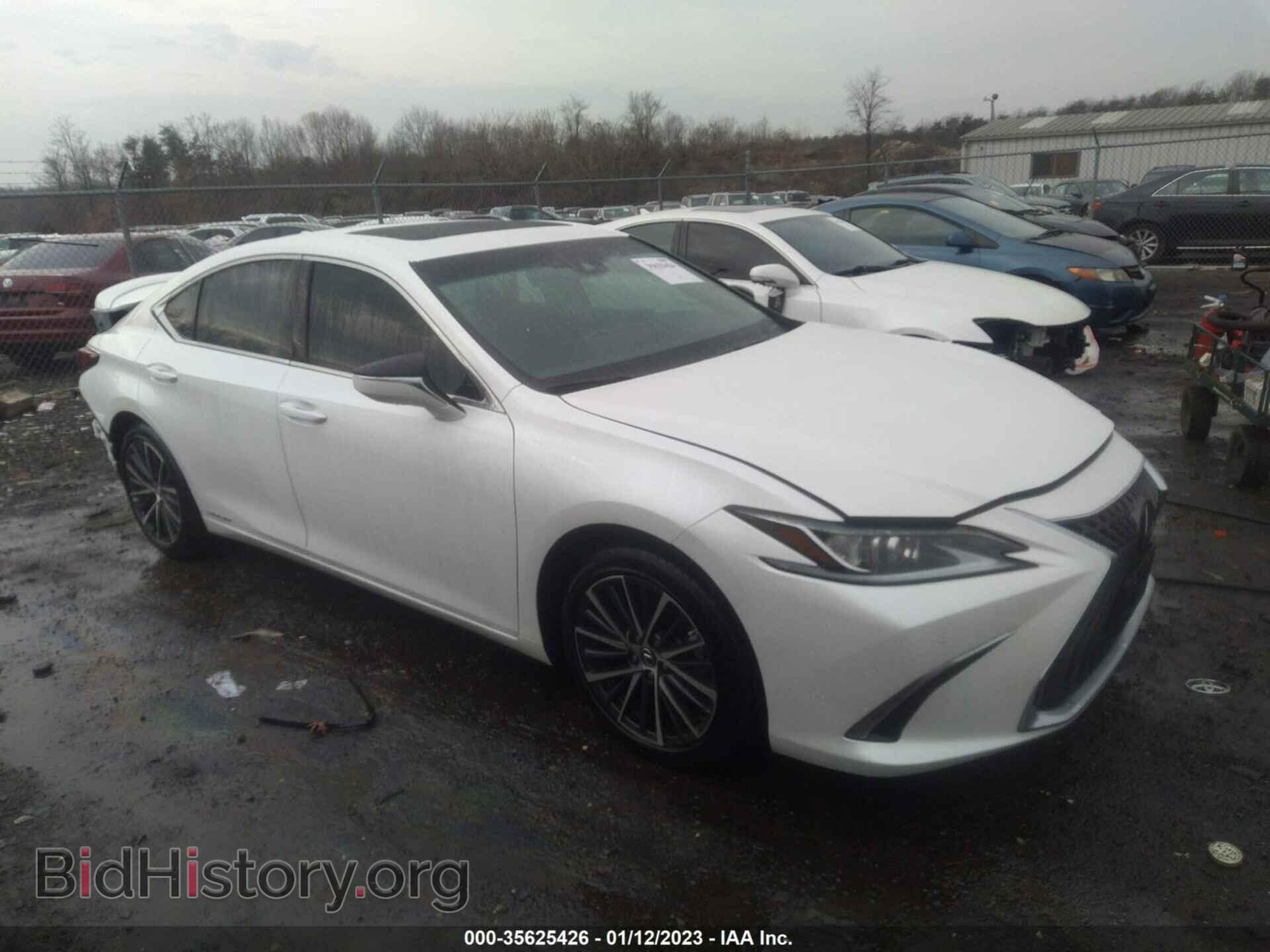 Photo 58ADA1C19NU024164 - LEXUS ES 2022