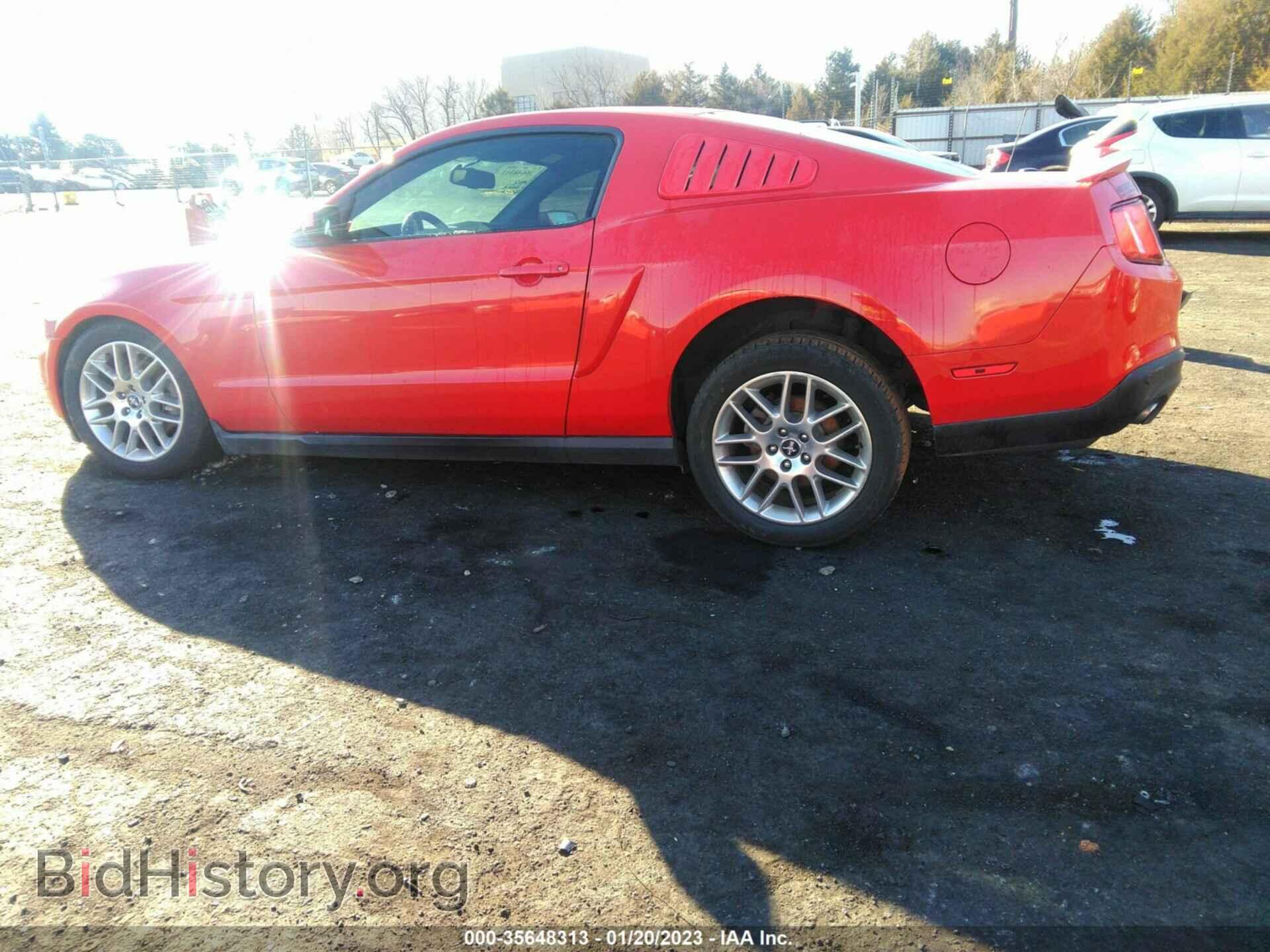 2012 FORD MUSTANG - VIN: 1ZVBP8AM6C5224897 - Фото 3