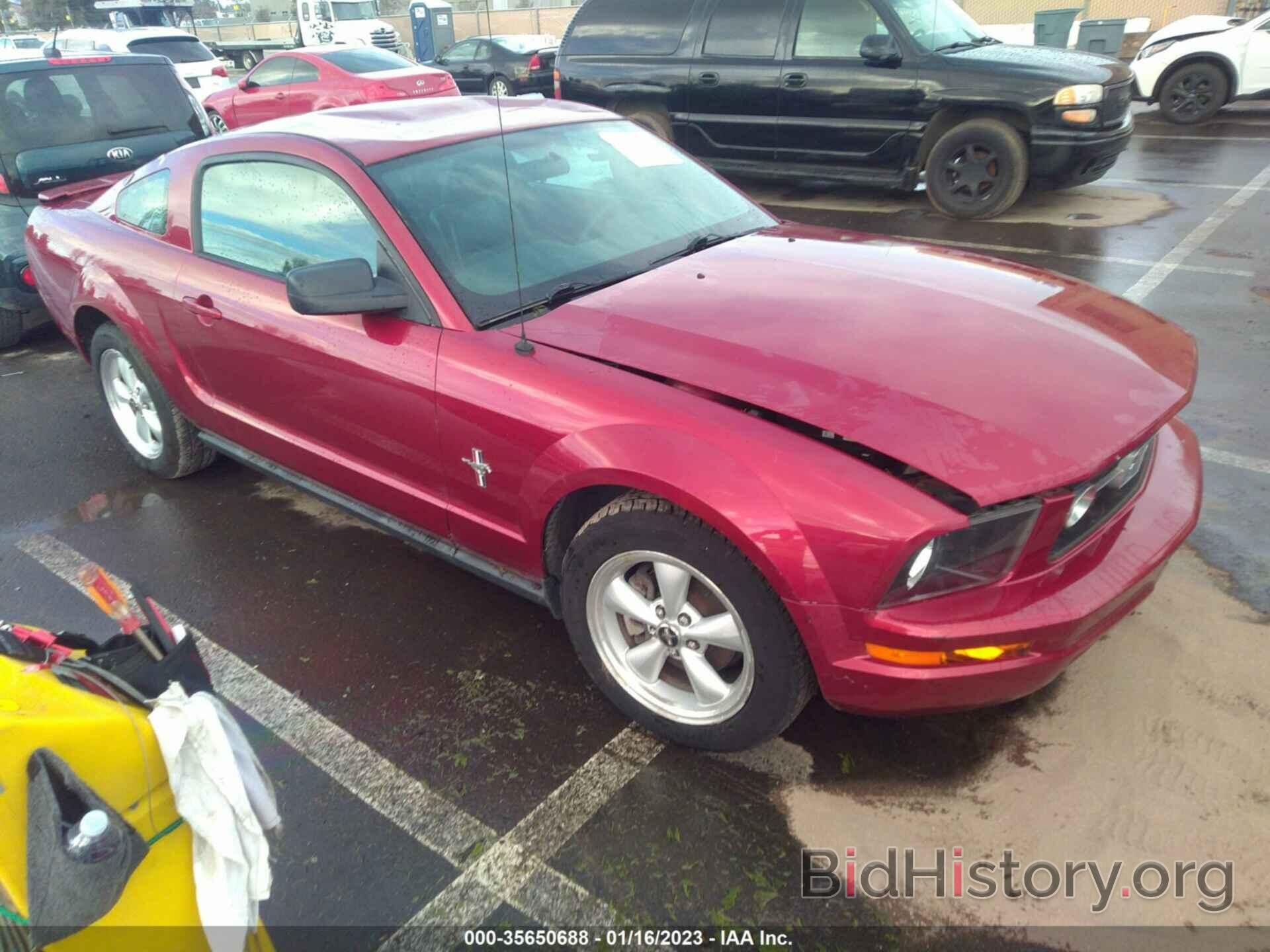 Photo 1ZVHT80N575303130 - FORD MUSTANG 2007